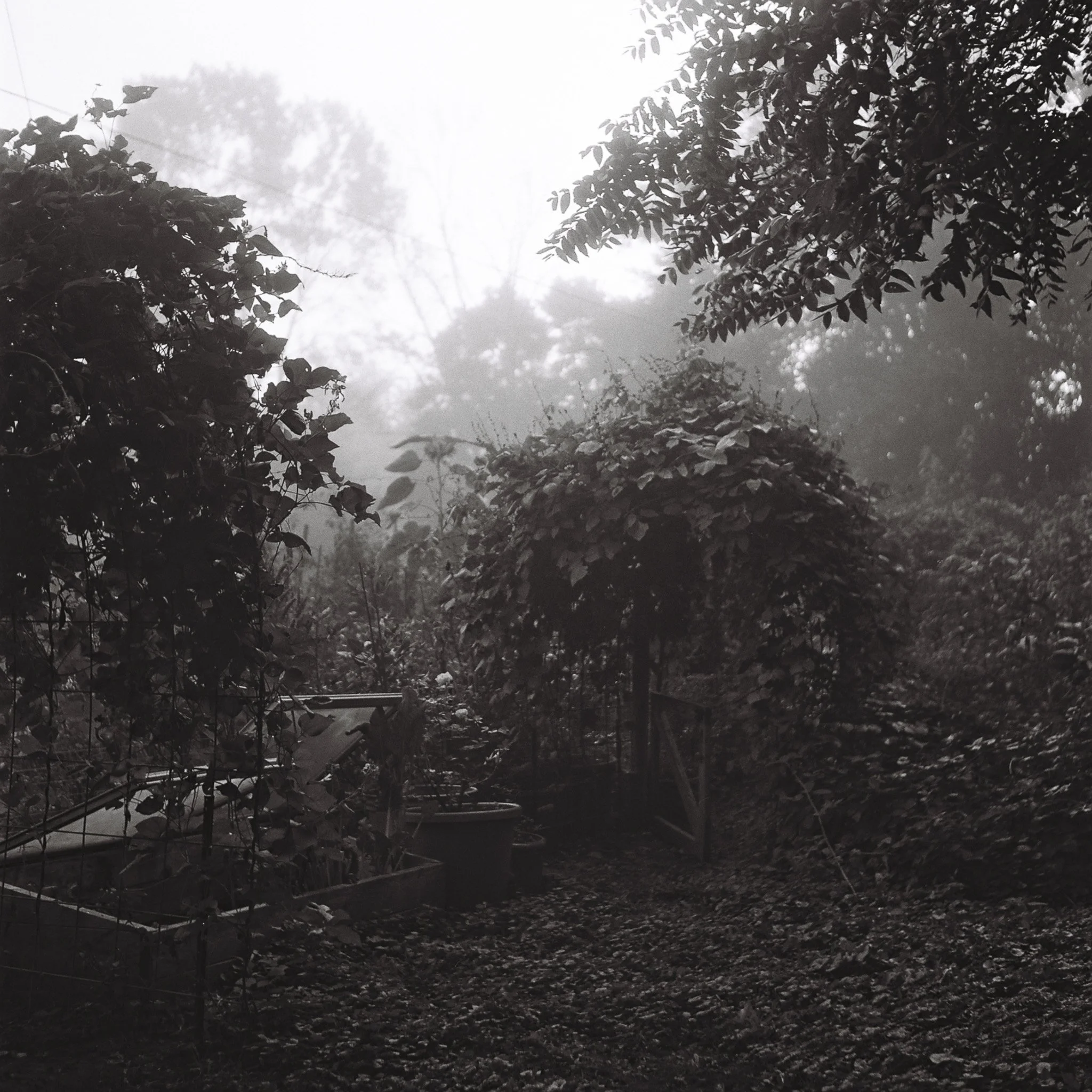 R1-09525-0249.jpg
