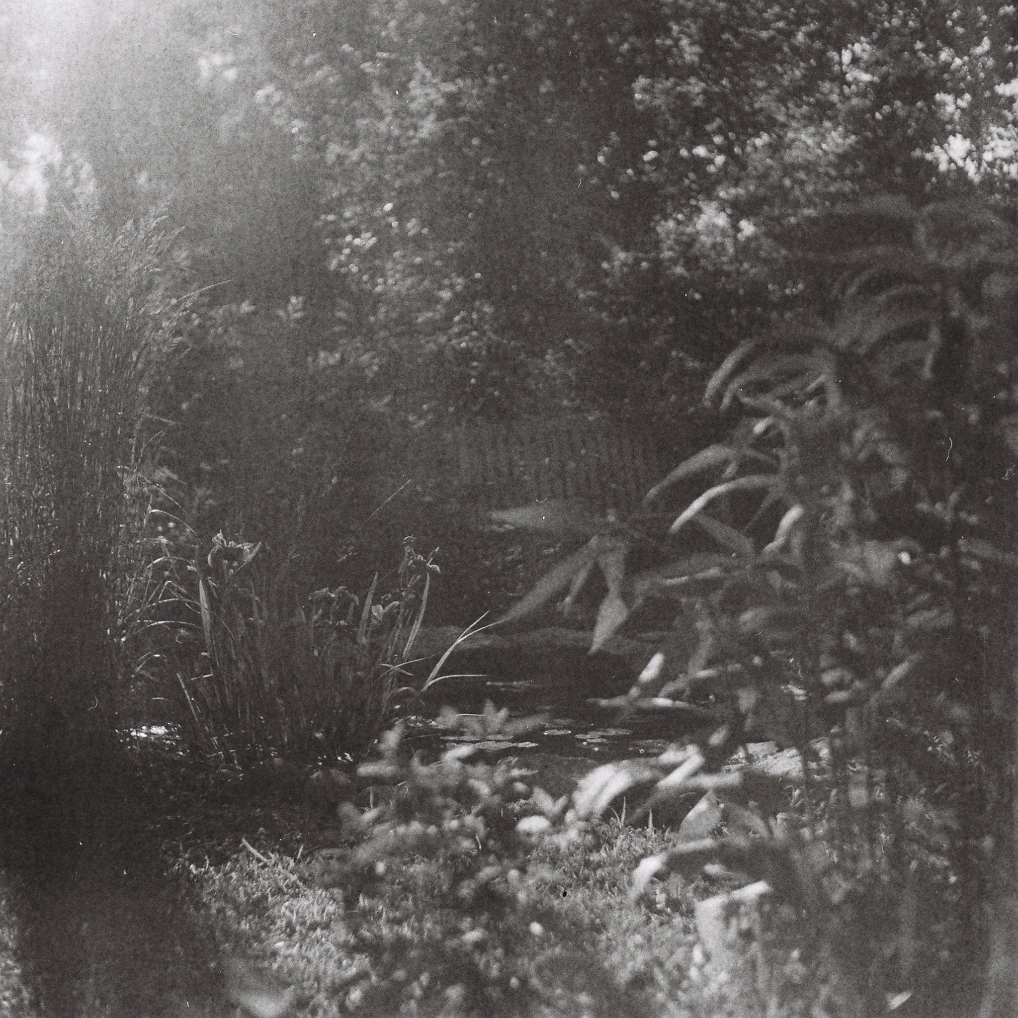 R1-09525-0205.jpg