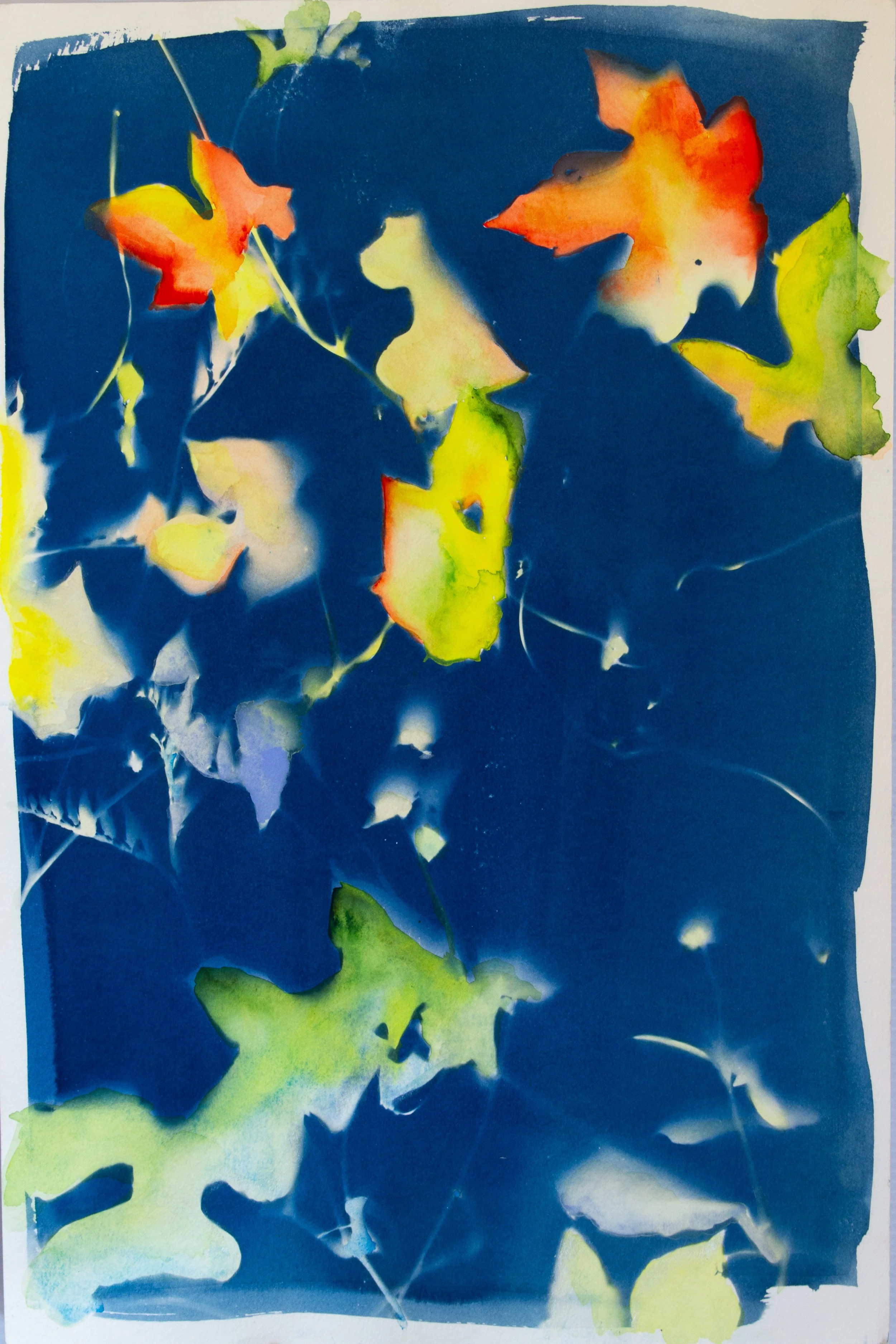 cyanotype1.jpg
