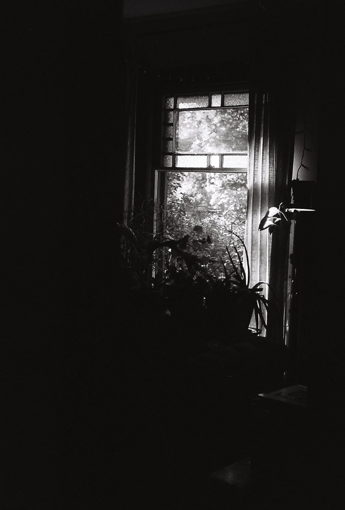 R1-09525-0030.jpg