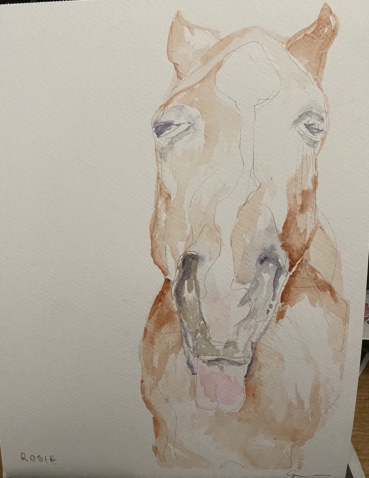 Watercolored drawing