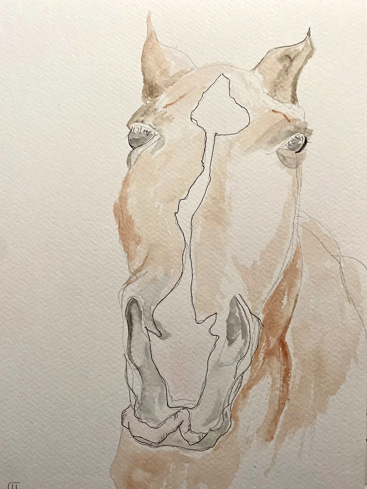 Watercolor on mixed media paper