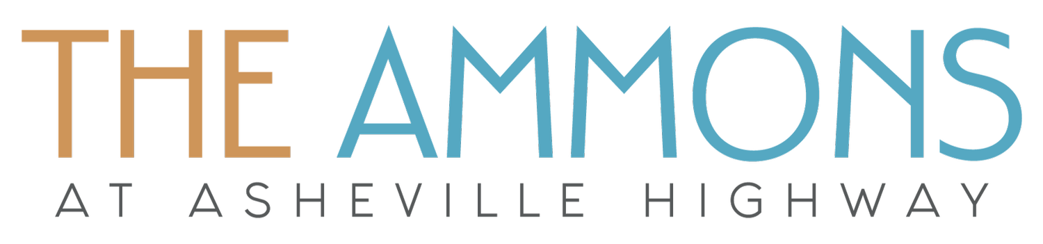 The Ammons at Asheville Hwy