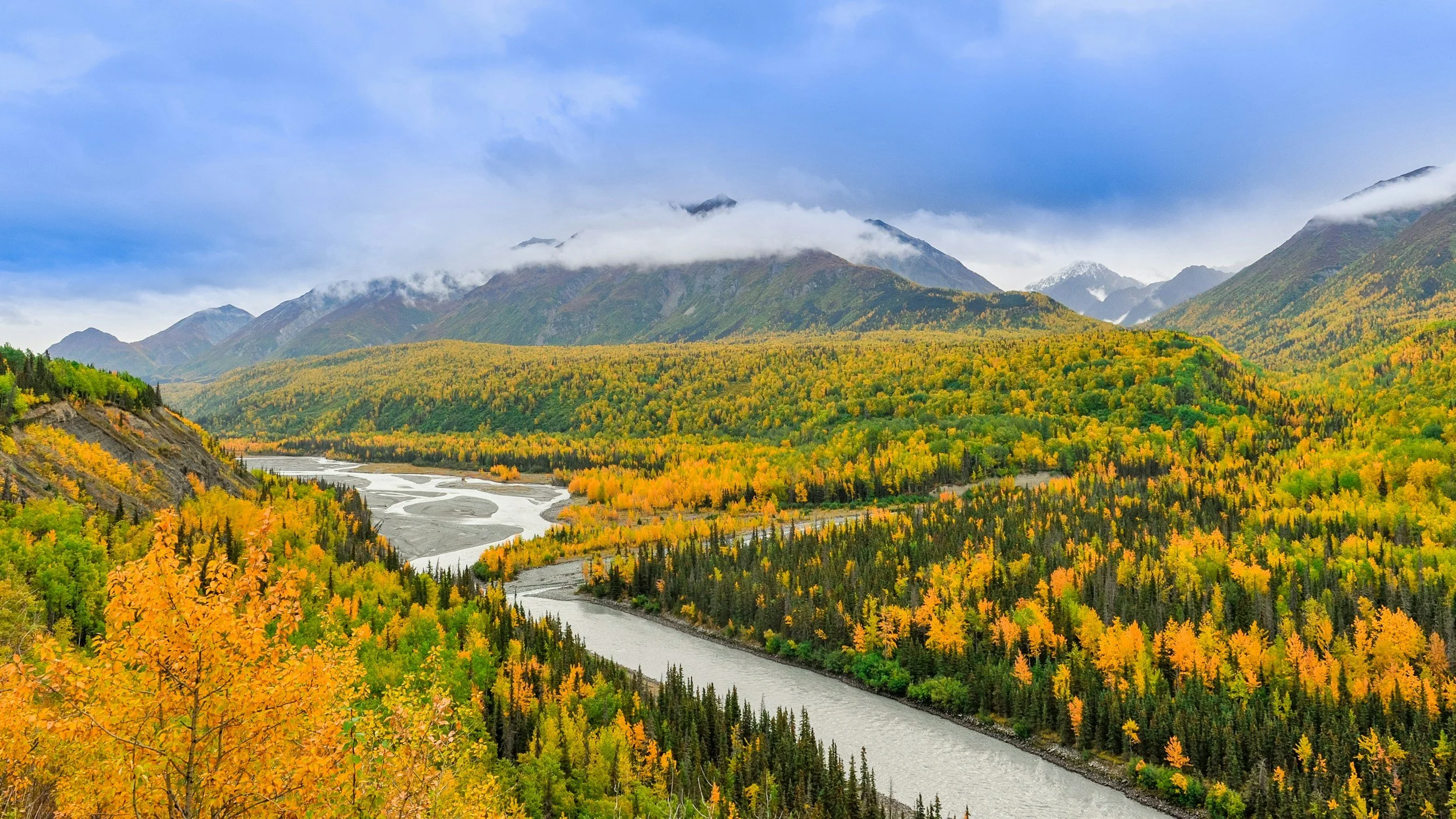 Moving Past Survival Mode: How EMDR Helps You Reclaim Your Present