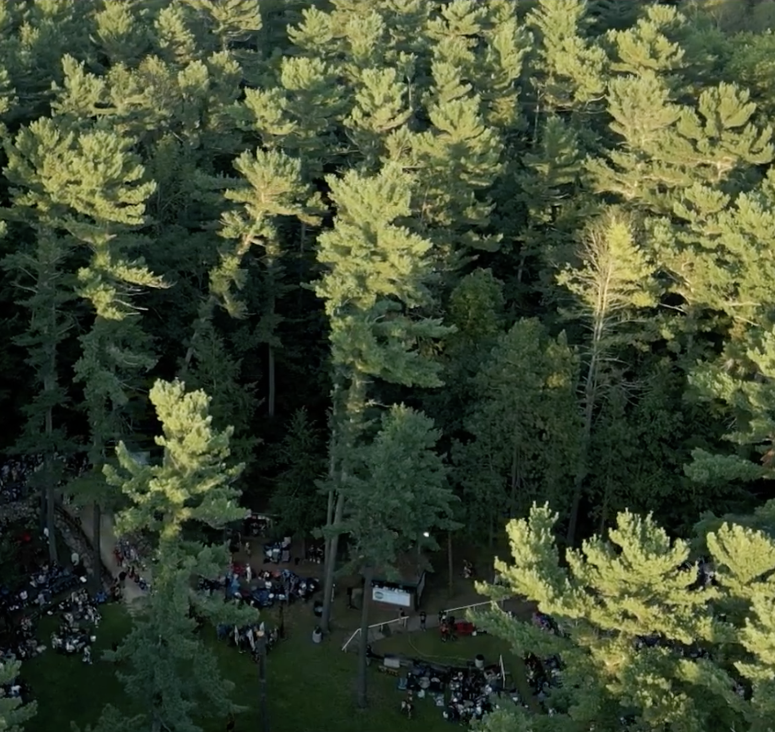 49th Annual National Indian Timber Symposium