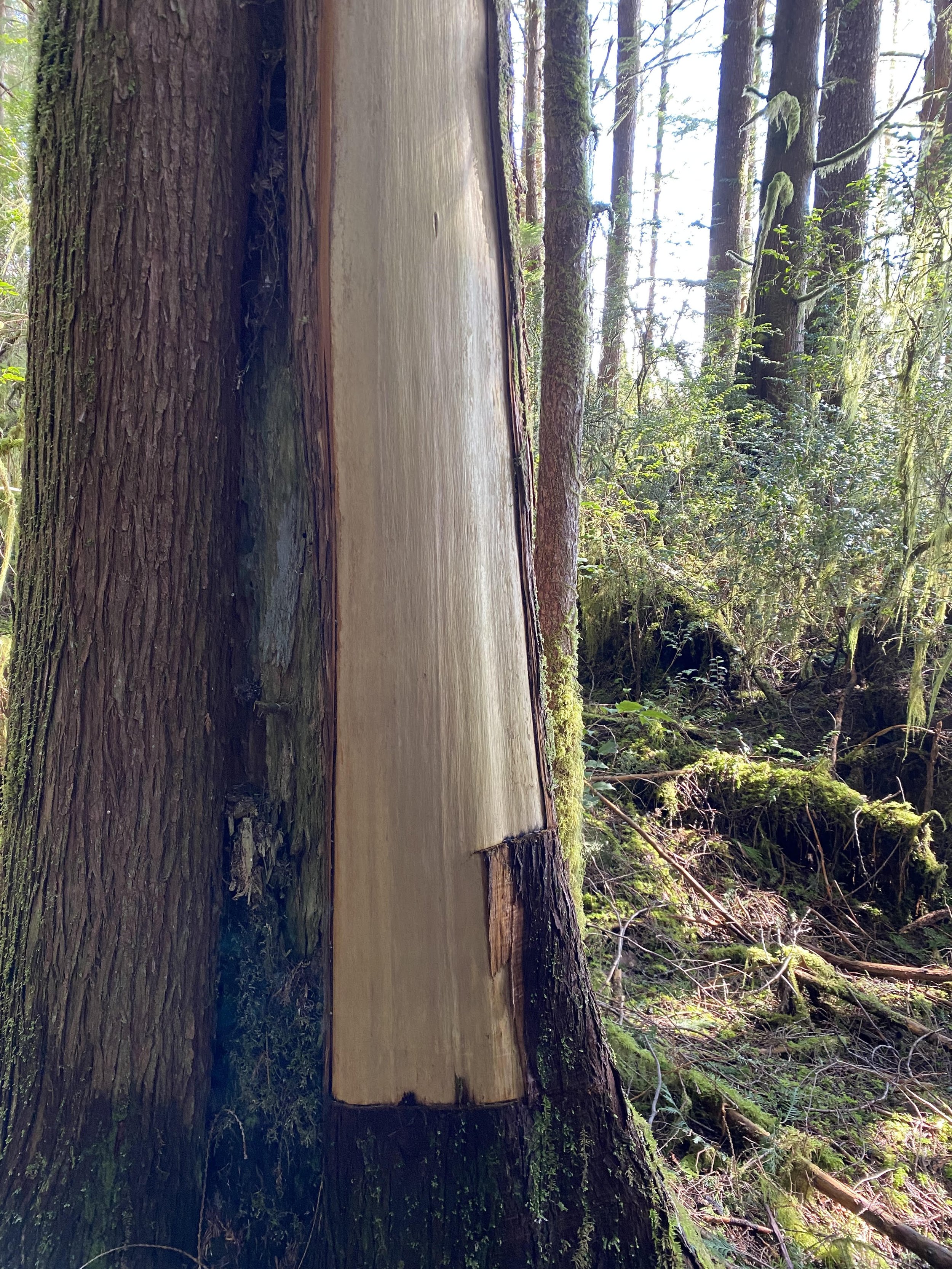 Washington Tribal Workshop