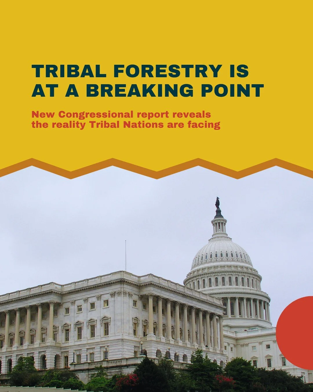*REPOSTING DUE TO NUMBER MISTAKE ON GRAPHIC*

The Congressional Research Service (CRS) has released its new report, Introduction to Tribal Forestry (R48934). While the report recognizes the immense importance of Tribal forestry across more than 19 mi