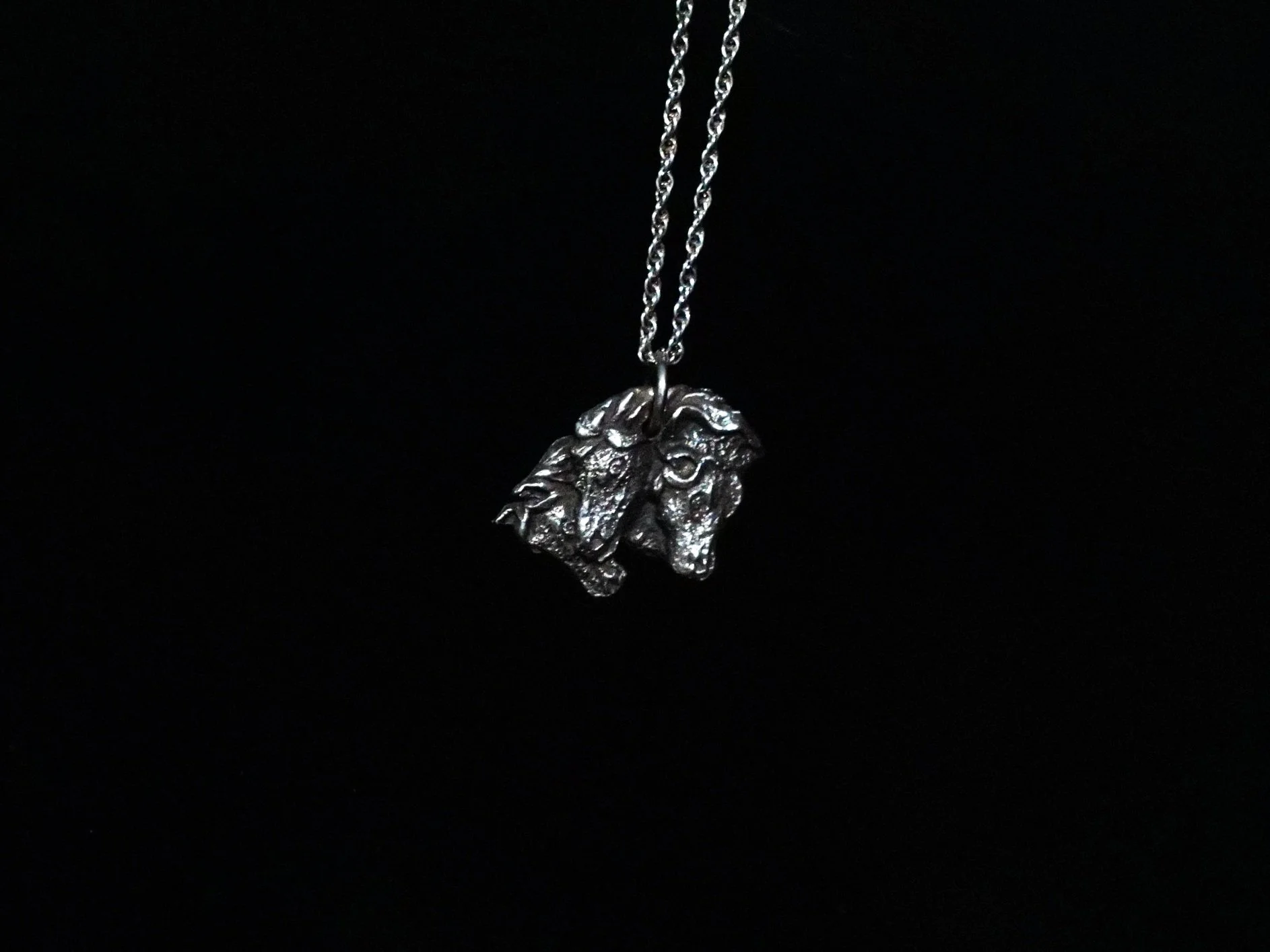 P1111666bw.jpg (Copy)