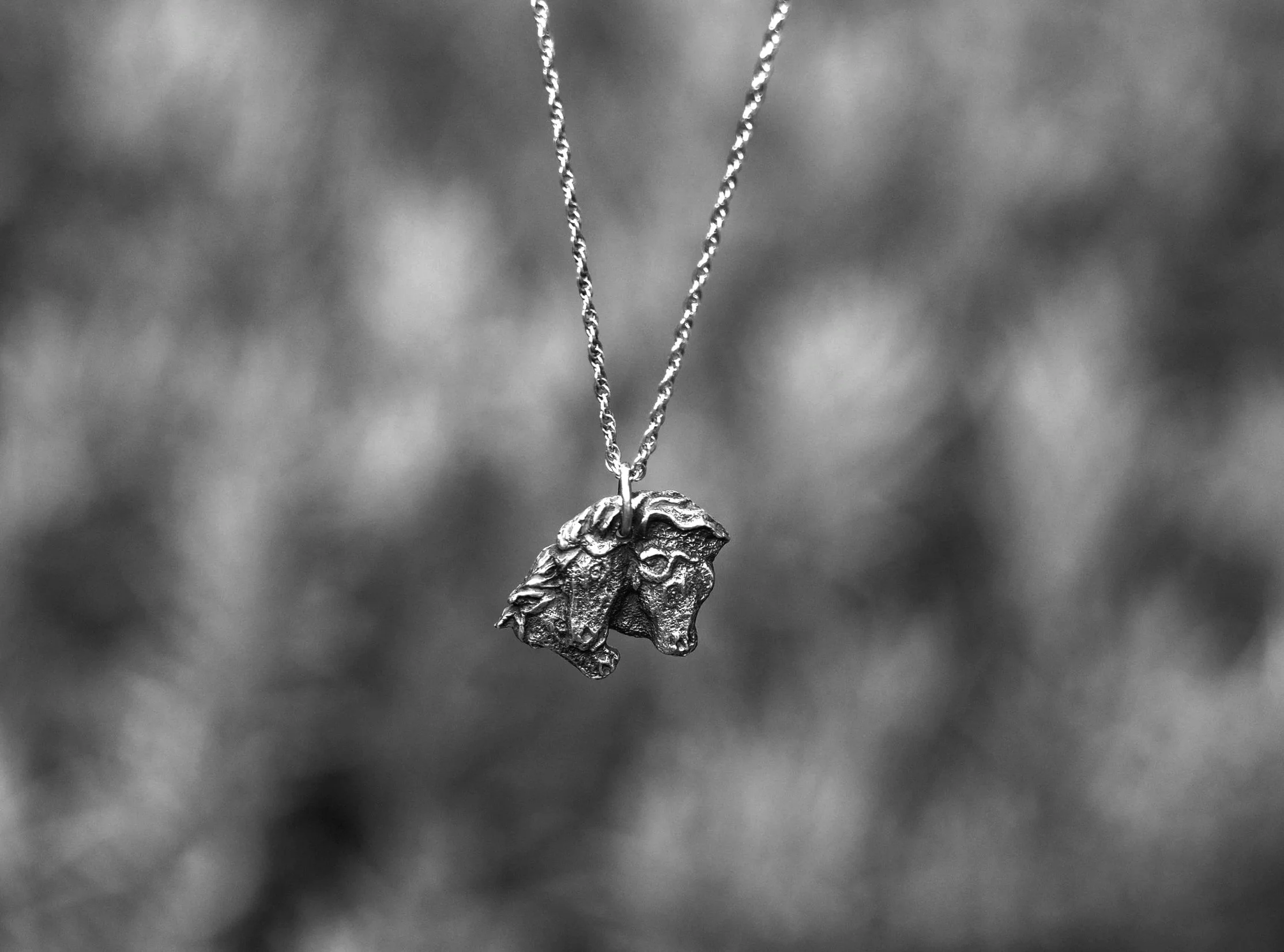 P1111651bw.jpg (Copy)