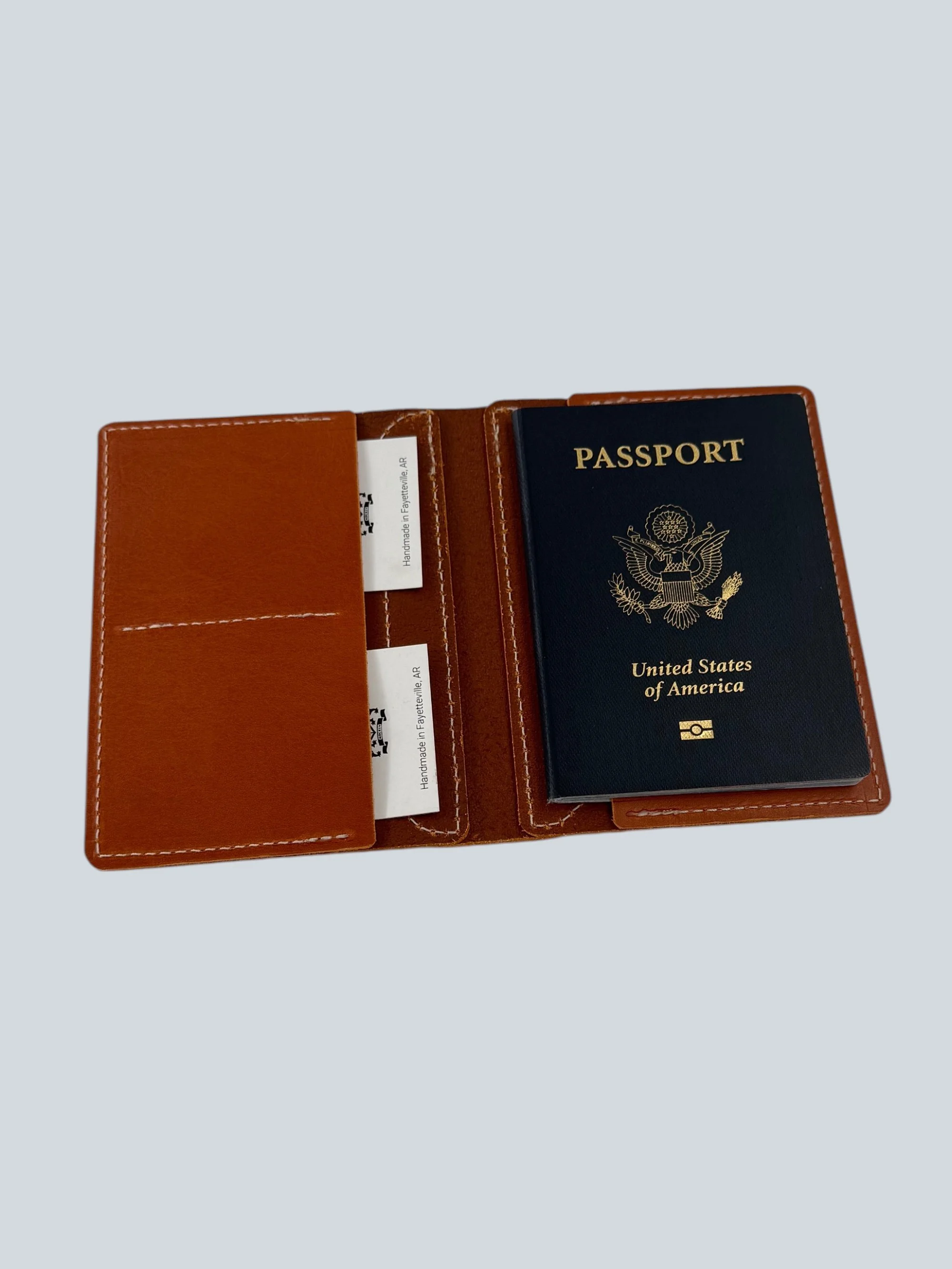 V2 Passport holder with cards.jpg