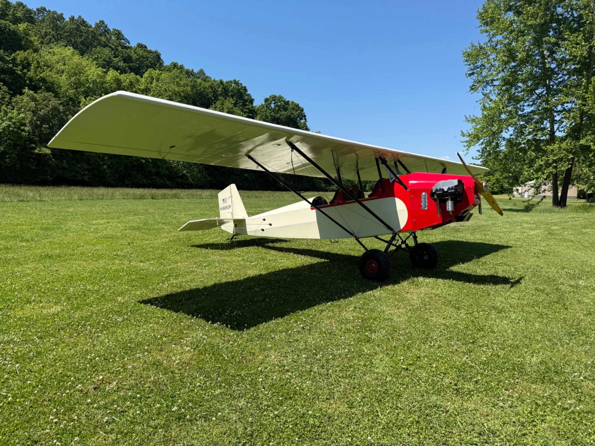 Pietenpol Air Camper Cock Pit Bison