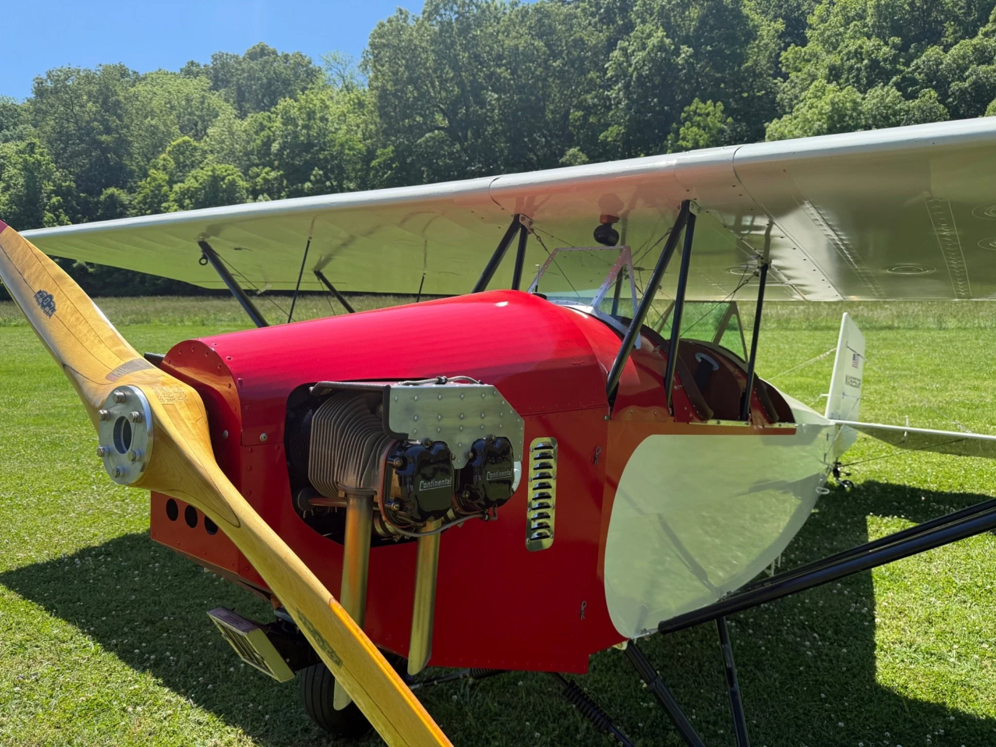 Pietenpol Air Camper Cock Pit Bison