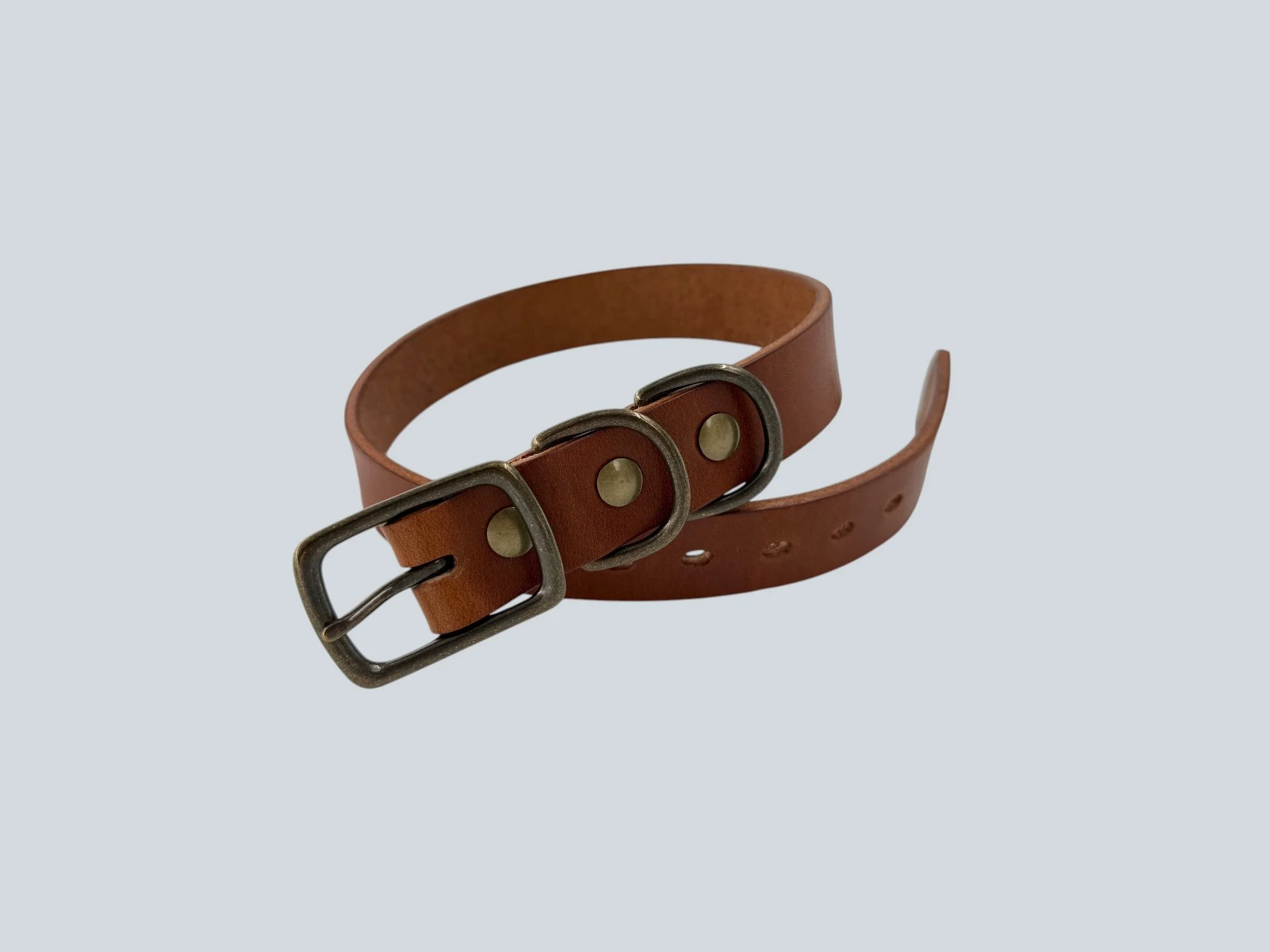 Wickett and Craig solid brass dog collar.jpg