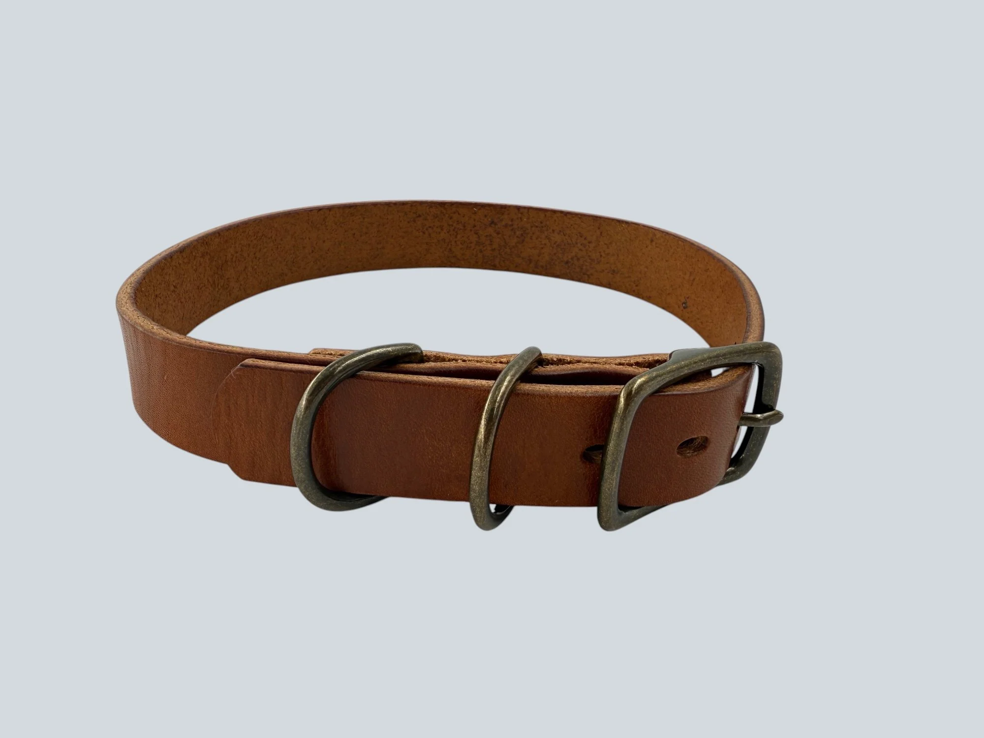 Wickett and Craig harness dog collar.jpg