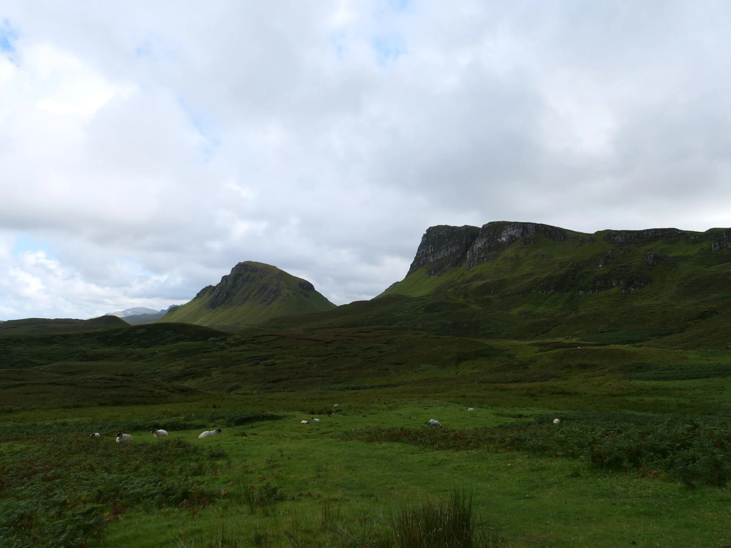 P1035773.JPG