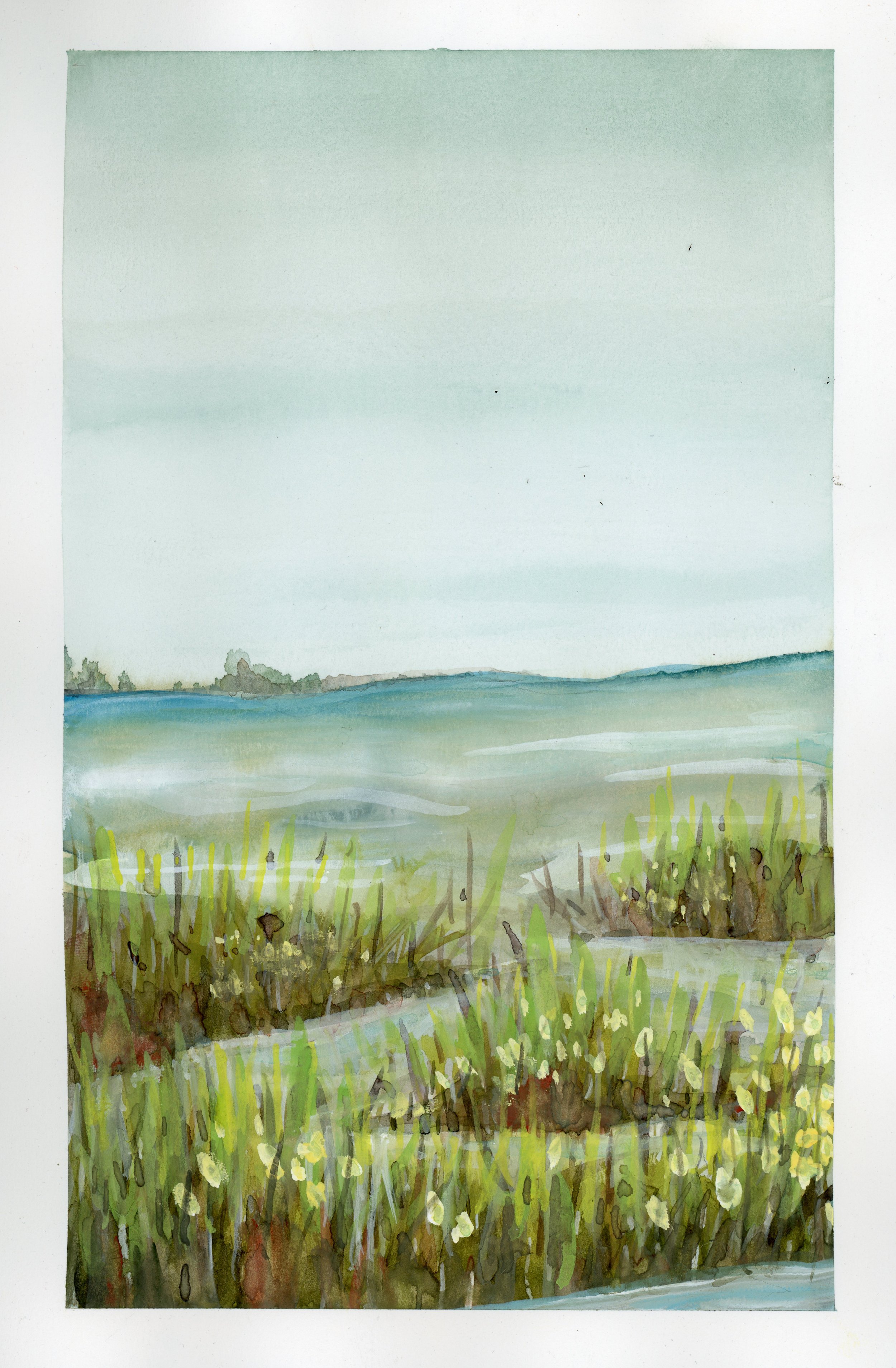 Marsh