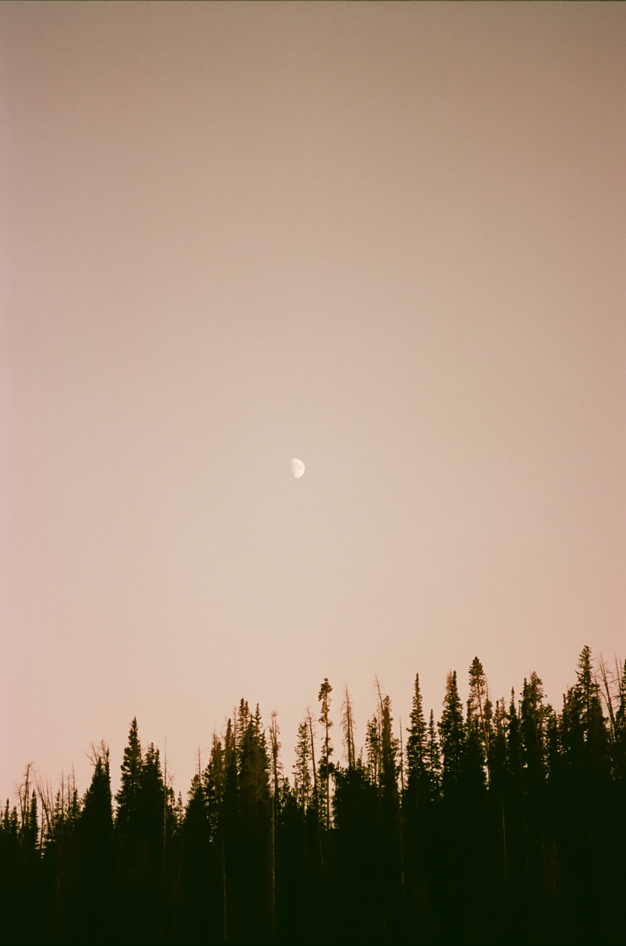 Mountain Moon