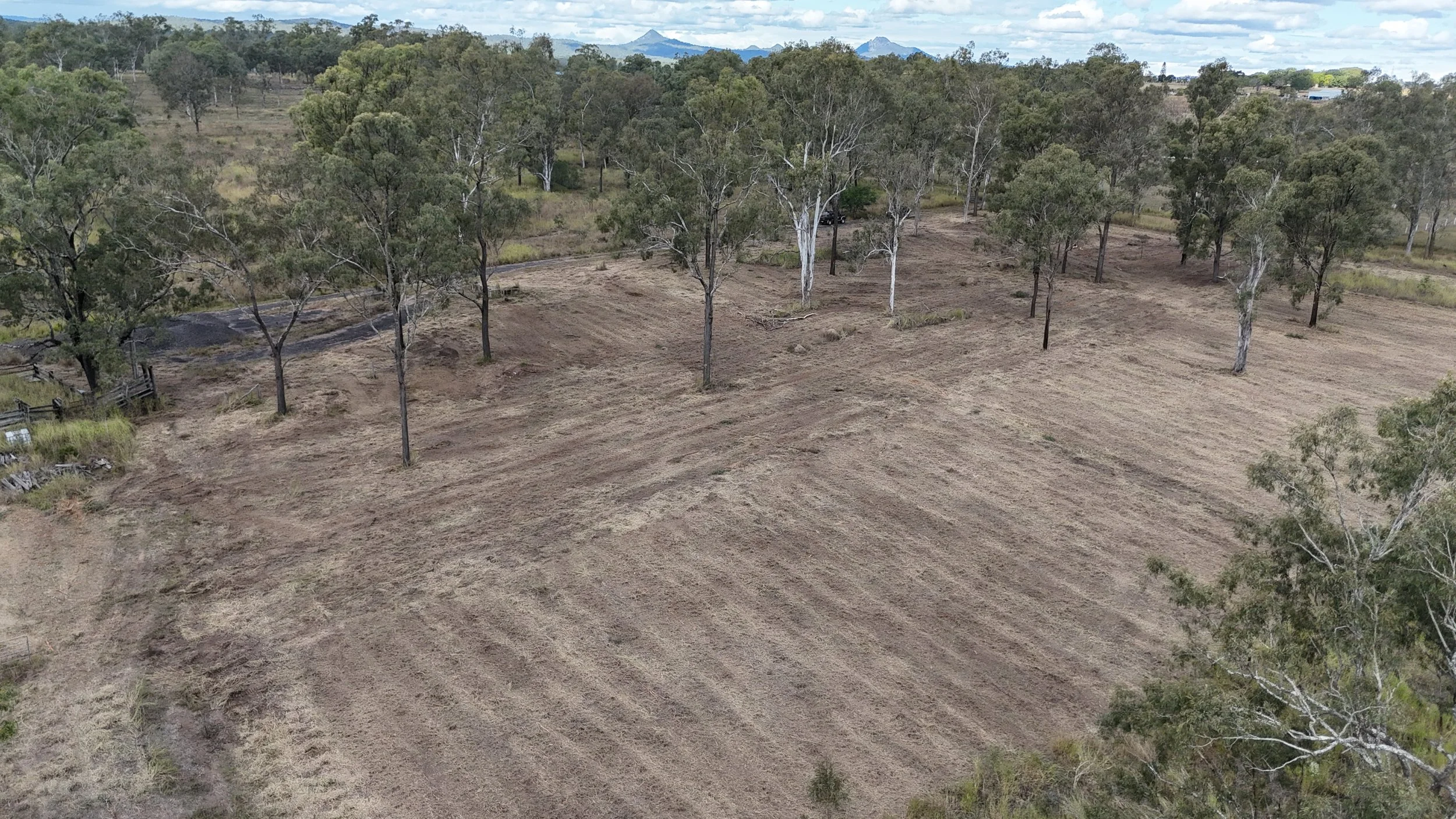 Land Clearing