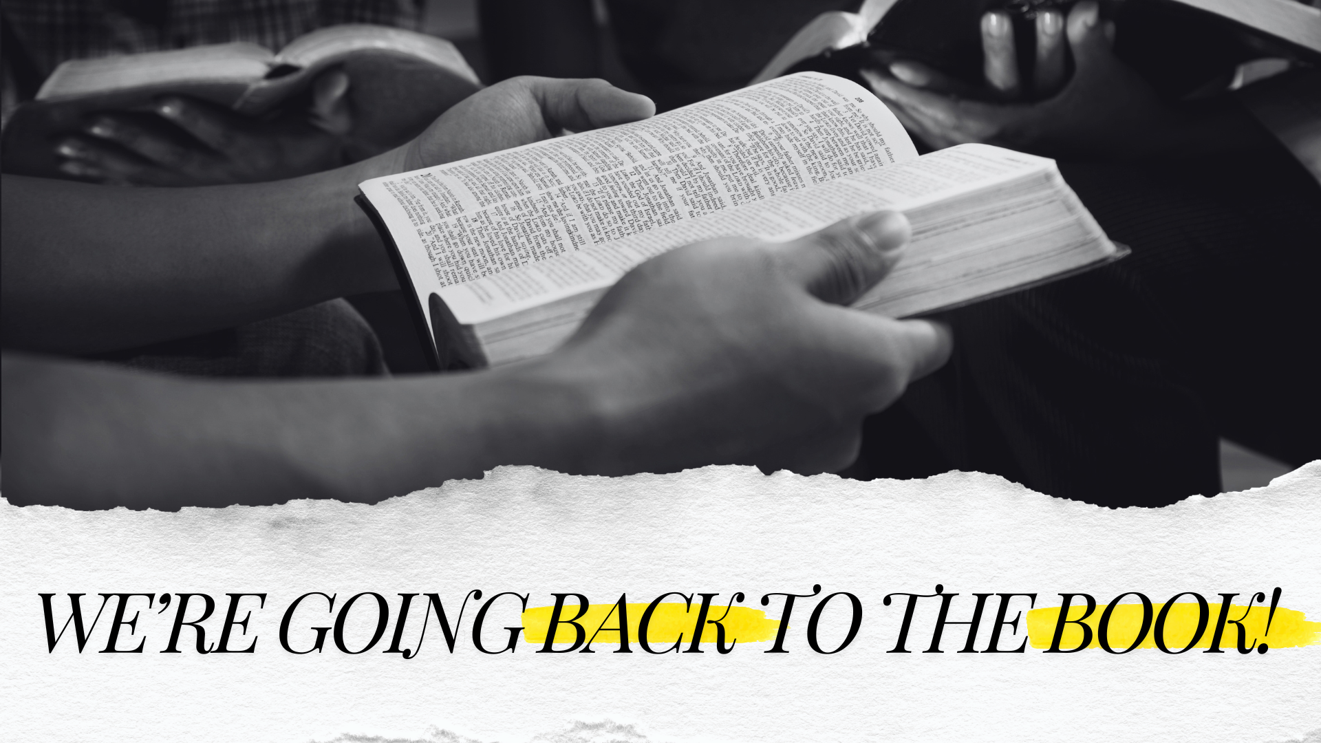 back to the book   Bible study