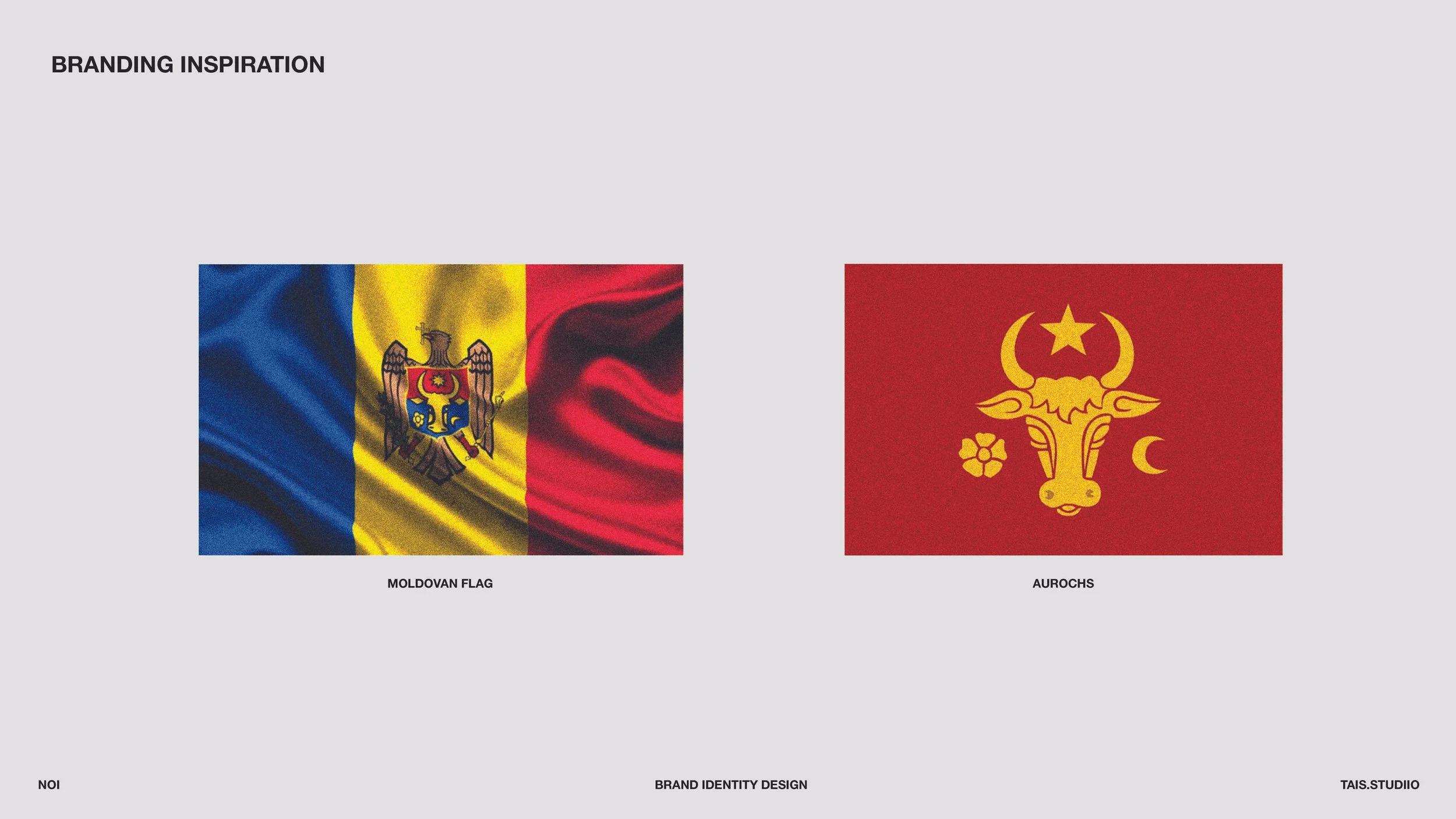 FLAG.jpg