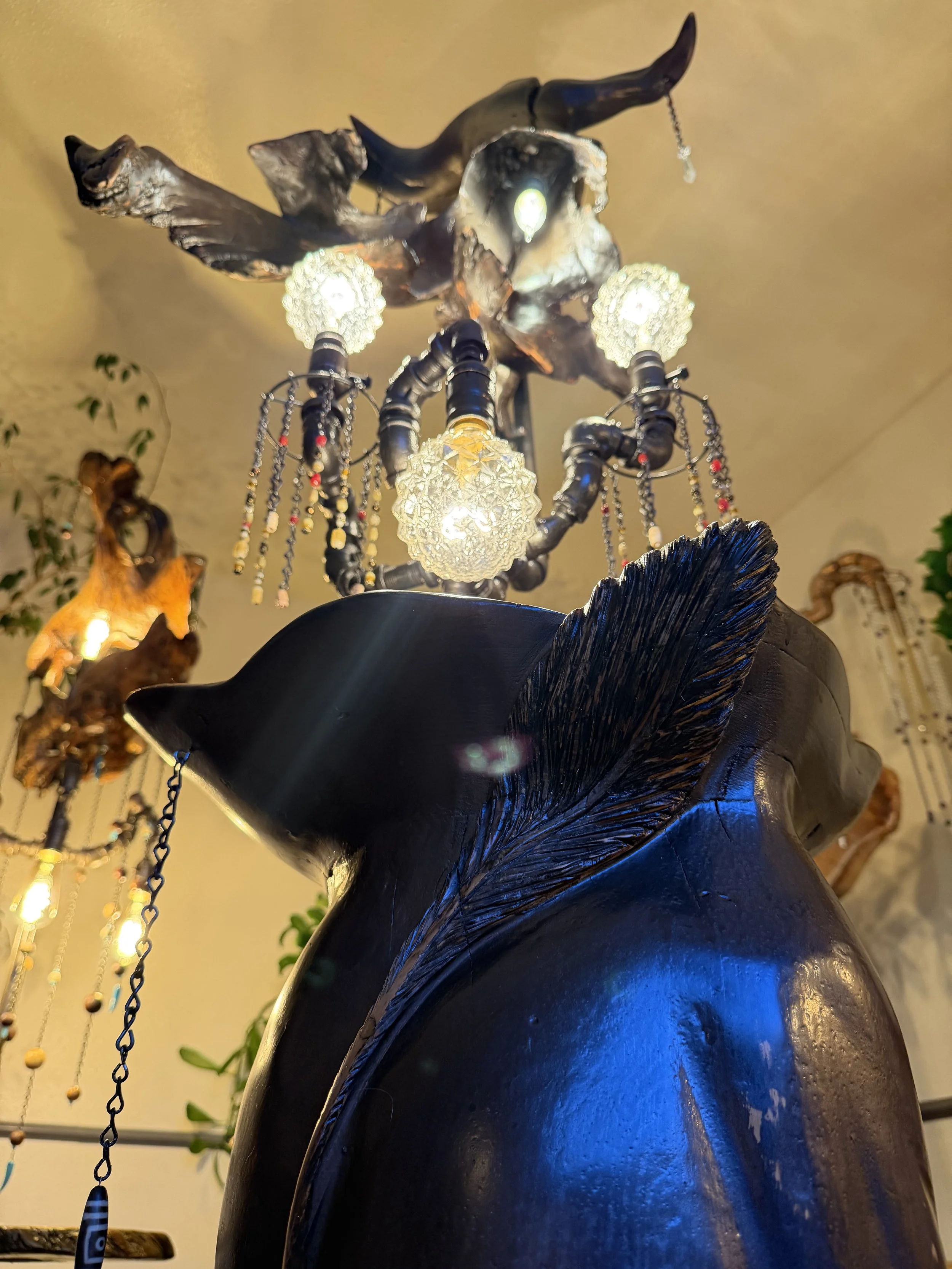 IMG_1914.jpeg
