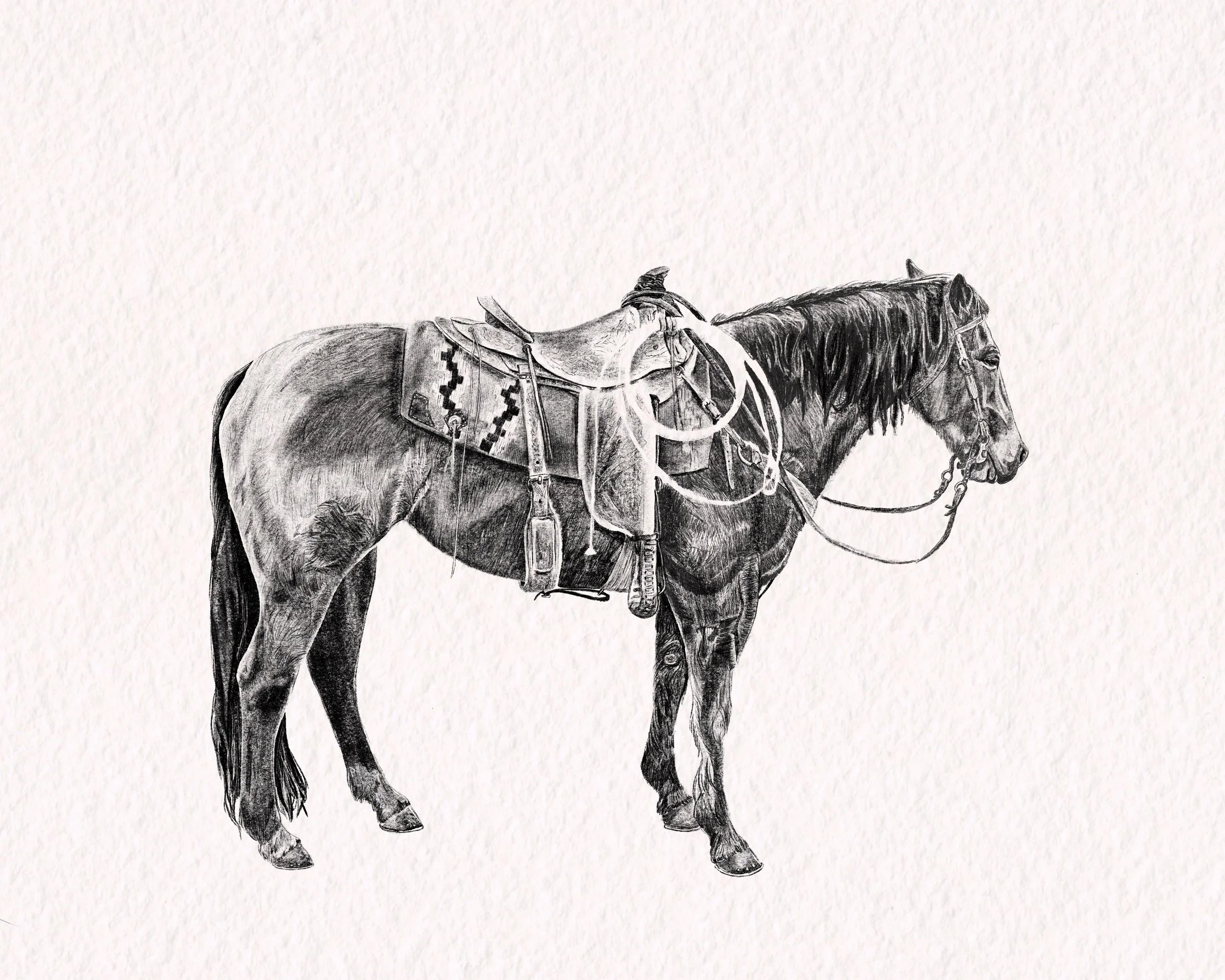 Hand-drawn on Procreate, limited print release