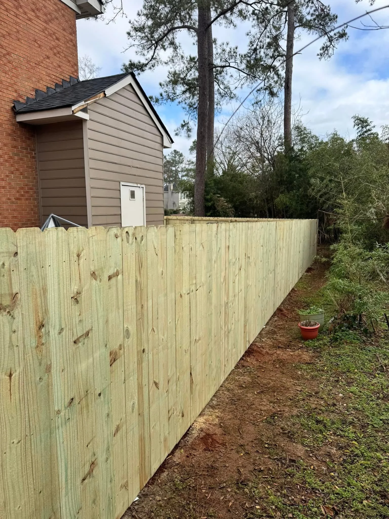 privacy fence.jpg