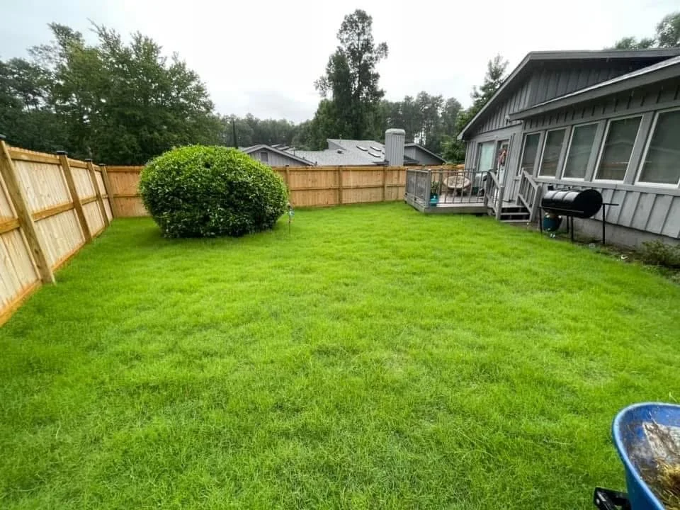 Photo Feb 21 2026, 1 12 59 AM.jpg