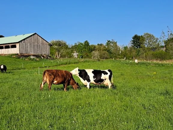 A couple of our favorite ladies in Thomaston