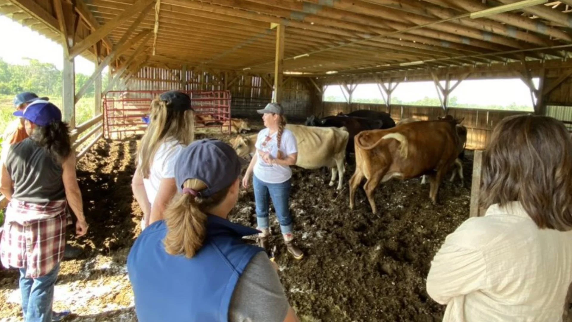 Photo Credit News Center Maine Link to the Maine 207 TV feature on Grace Pond Farm