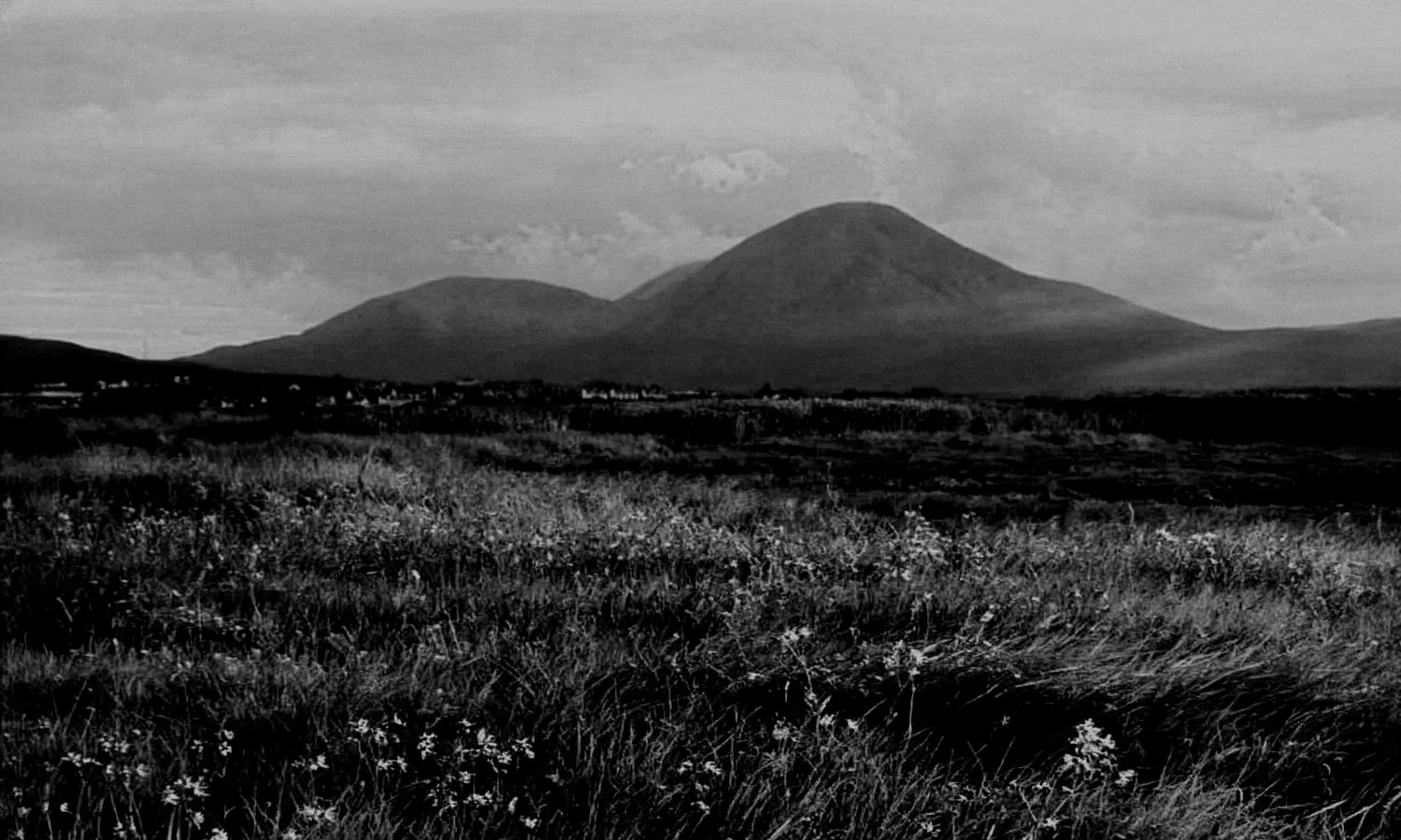 Black and white landscape photograph of two mountains in the distance, with grassy plains and wildflowers in the foreground, under a cloudy sky.