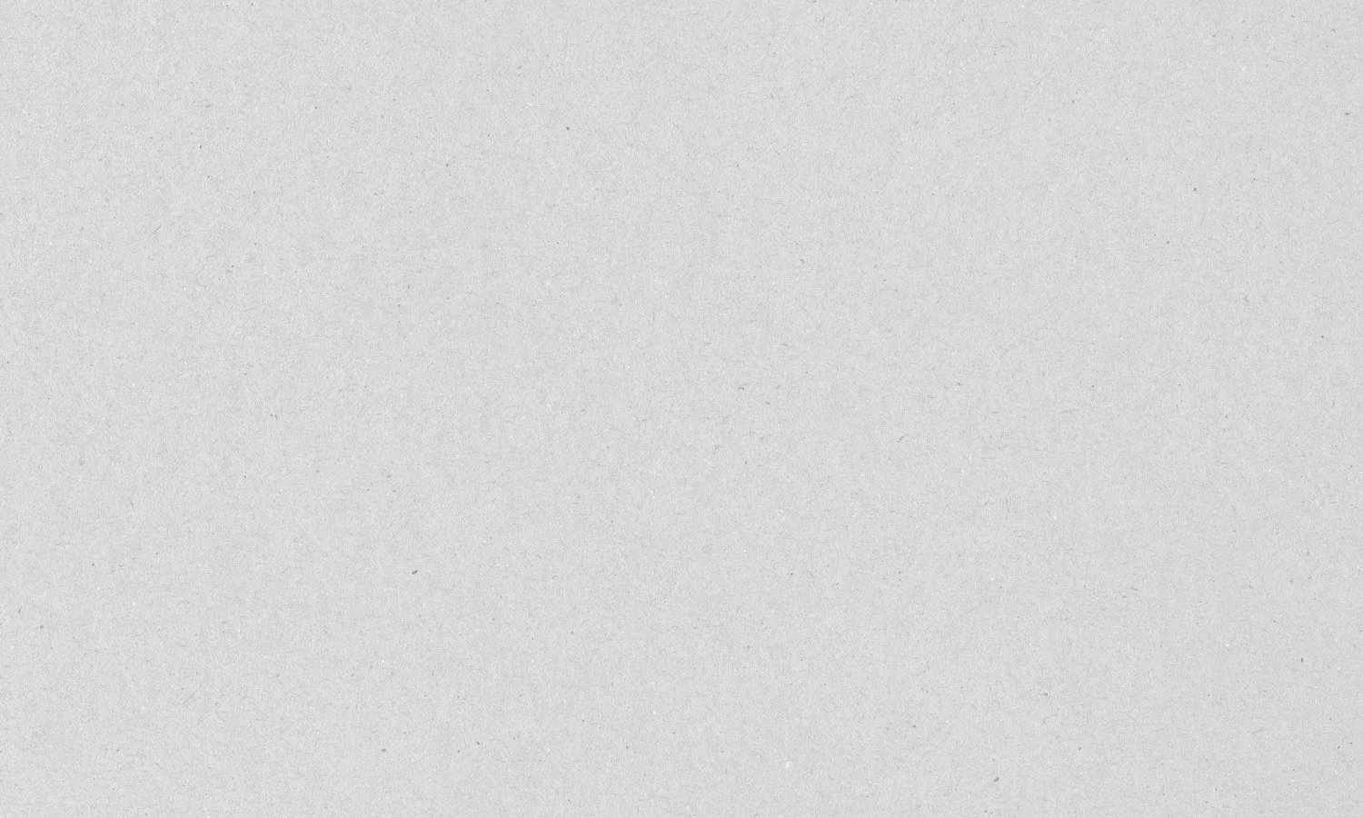The image shows a plain, textured, light gray background with no distinguishable objects or features.