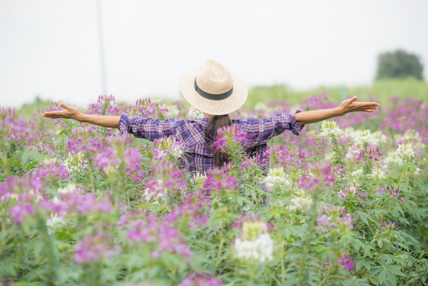 Lil' Bit of Joy Floral Design owner wearing a straw hat and a plaid shirt stretching arms out in a field of pink, purple, and white flowers.