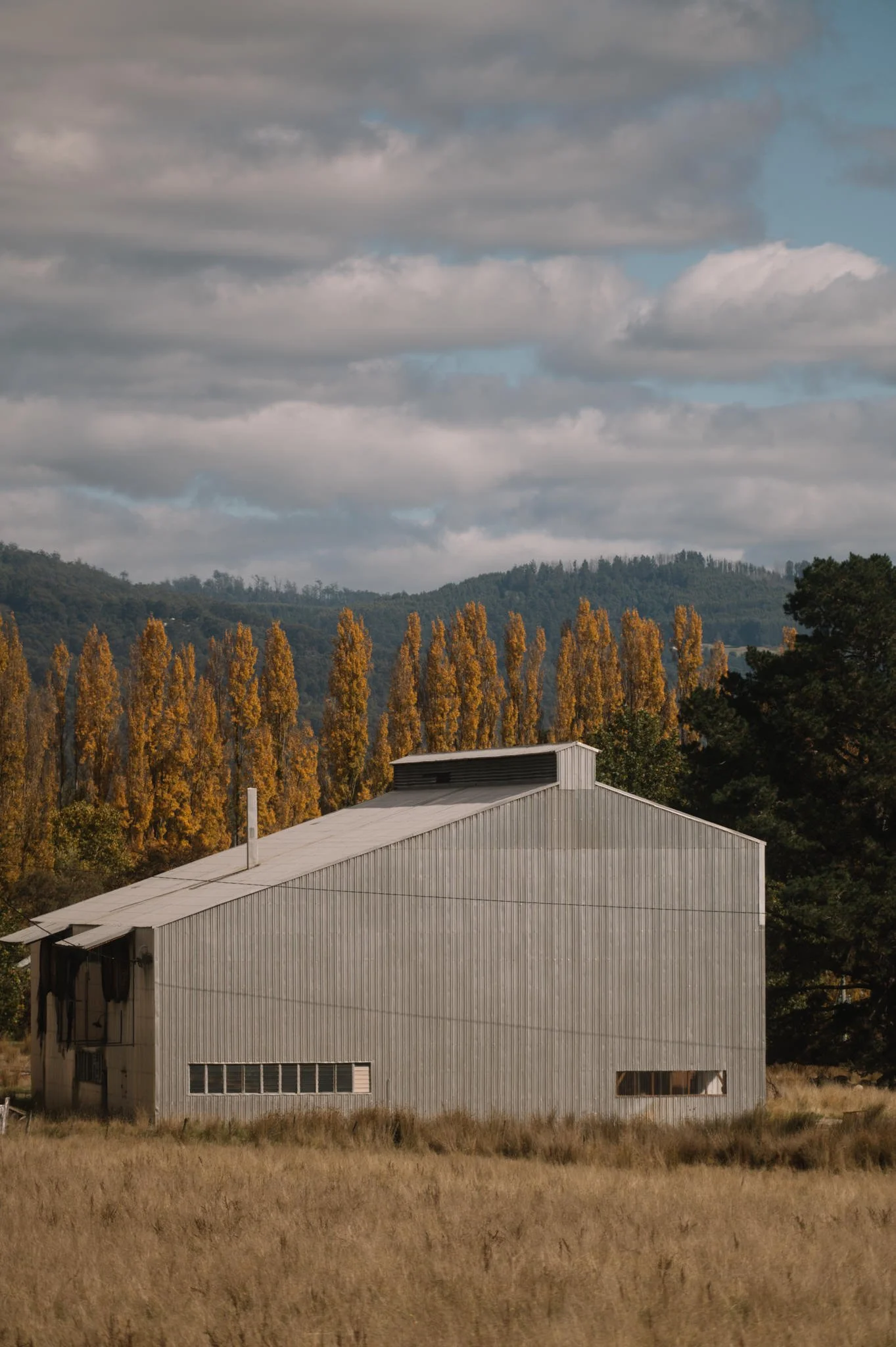 ceramics studio building in huon valley framed by trees