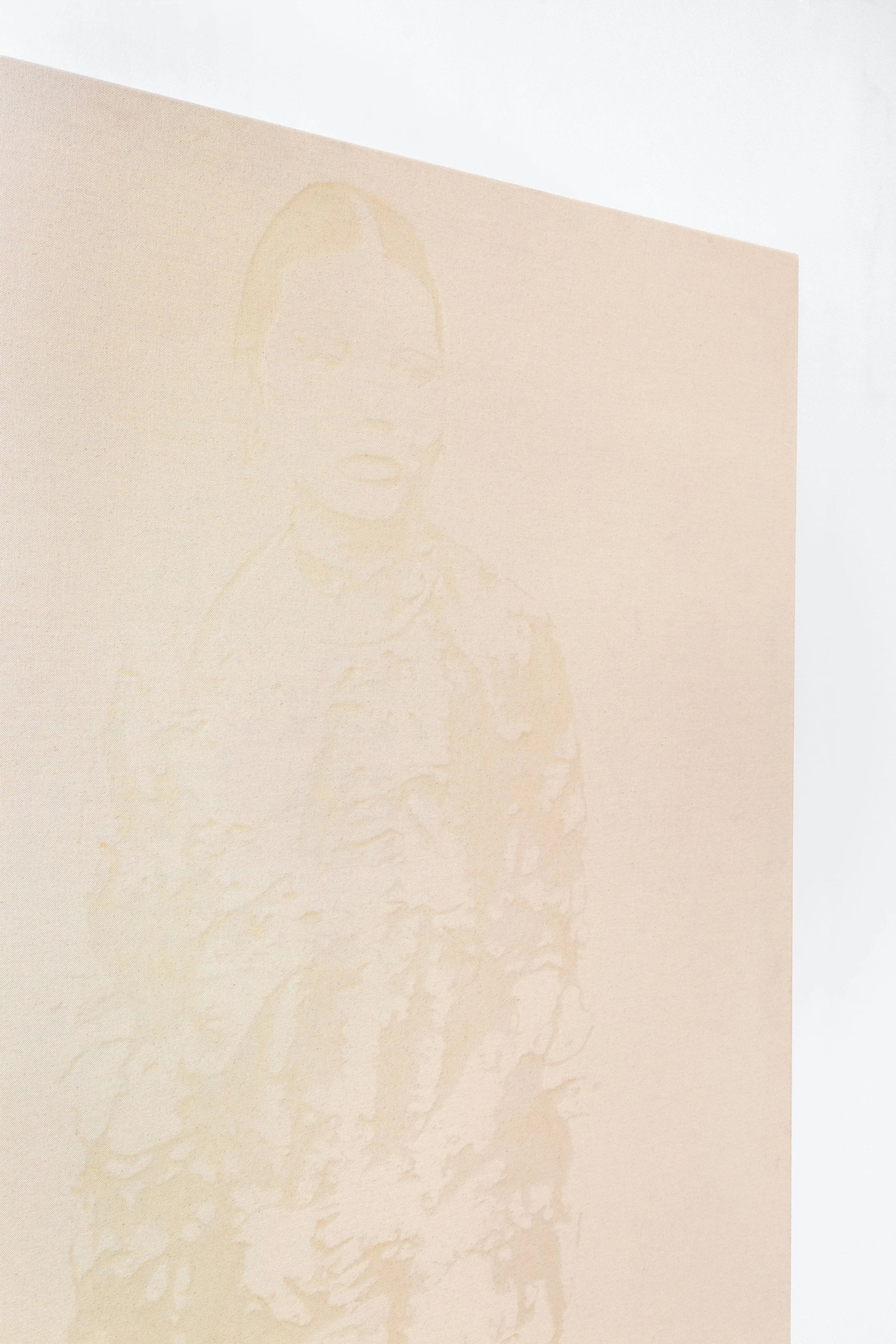 Detail of  Royal Bloodlines .   Documentation by Panisa Ongwat.