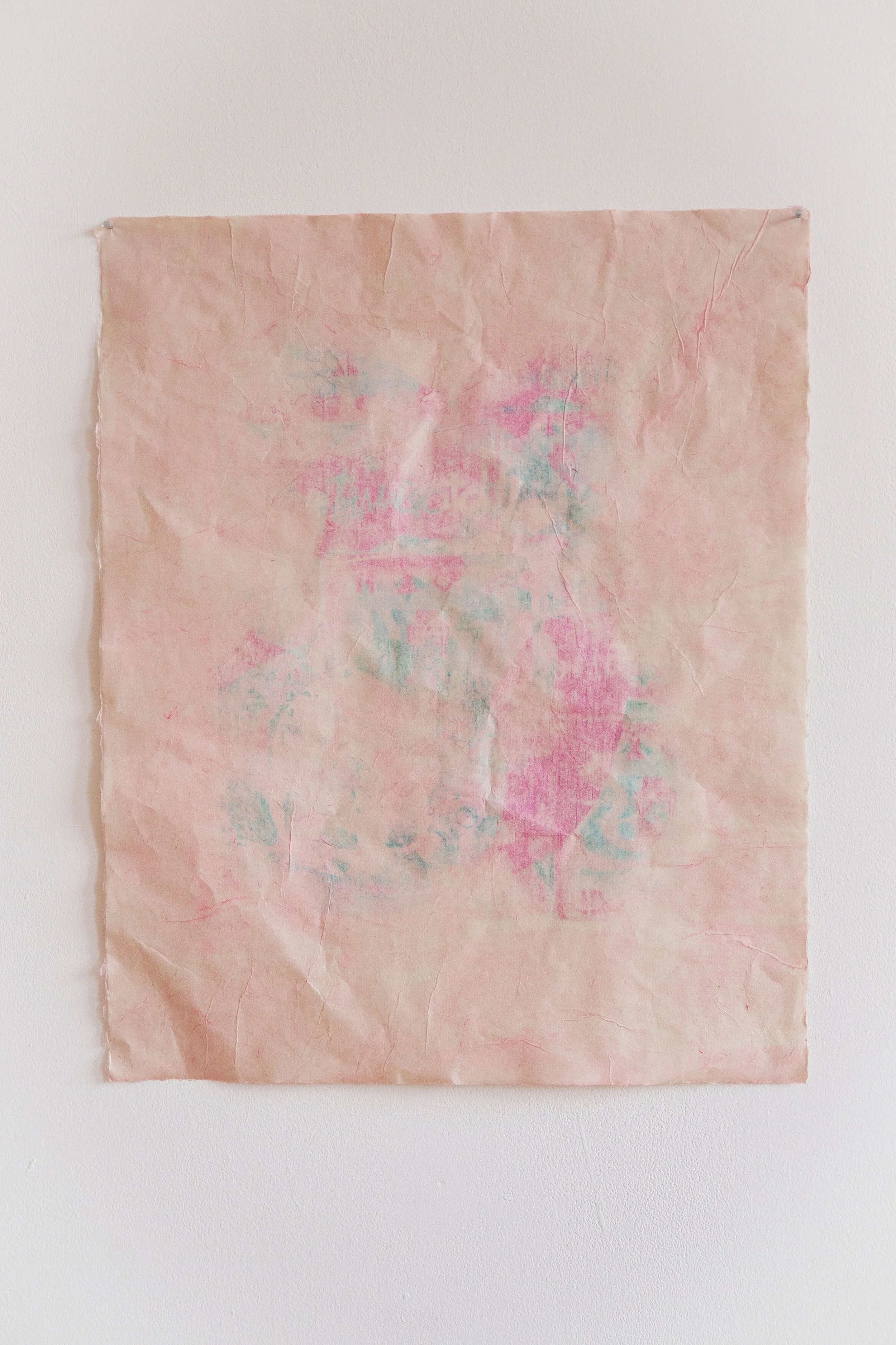 'Tswizzchi'
2022. Ink, 'Live' by Jennifer Lopez, and fabric dye on Kitakata paper.