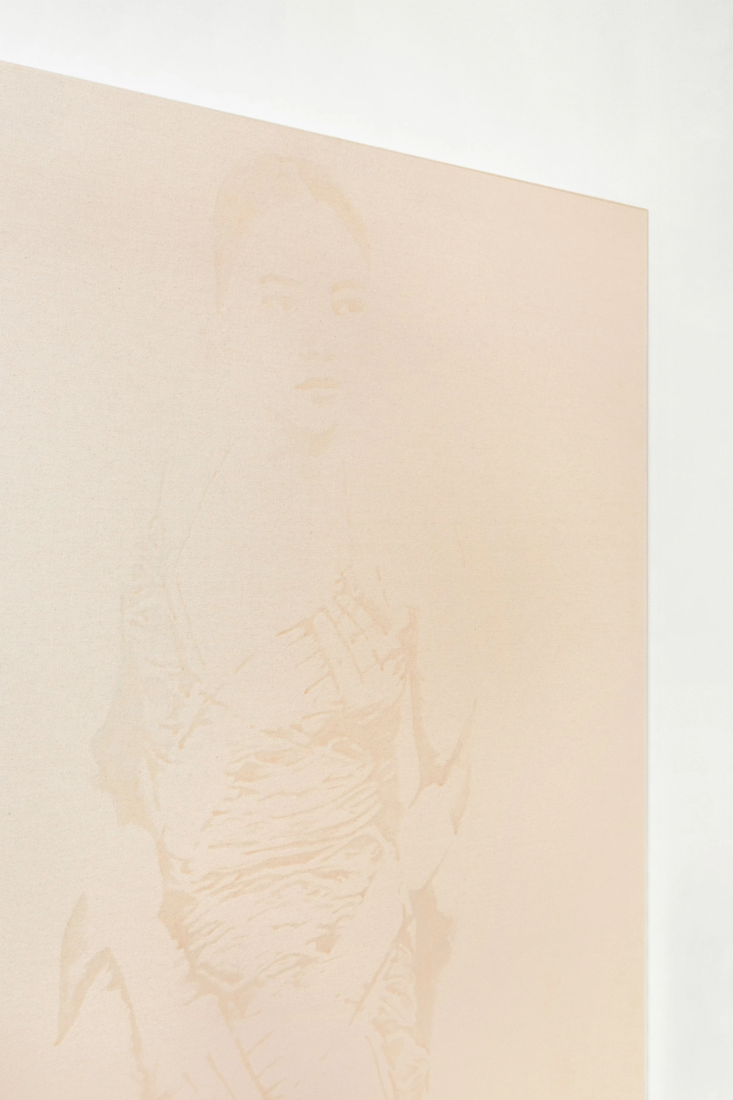 Detail of 'The Last Great Dynasty'. Documentation by Panisa Ongwat.