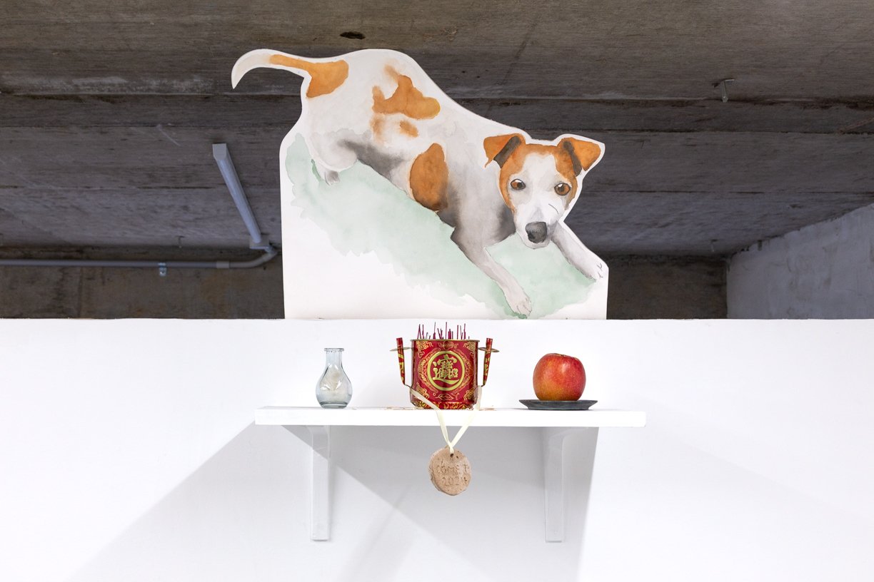  Comet   
2016 – 2025.  
Watercolour on paper, foam board, pine shelf, sand, salt dough, ribbon, glass vase, dog fur, incense, incense holder, wooden dish, apple, dog spirit.   
Dimensions variable.   
Documentation by Panisa Ongwat.