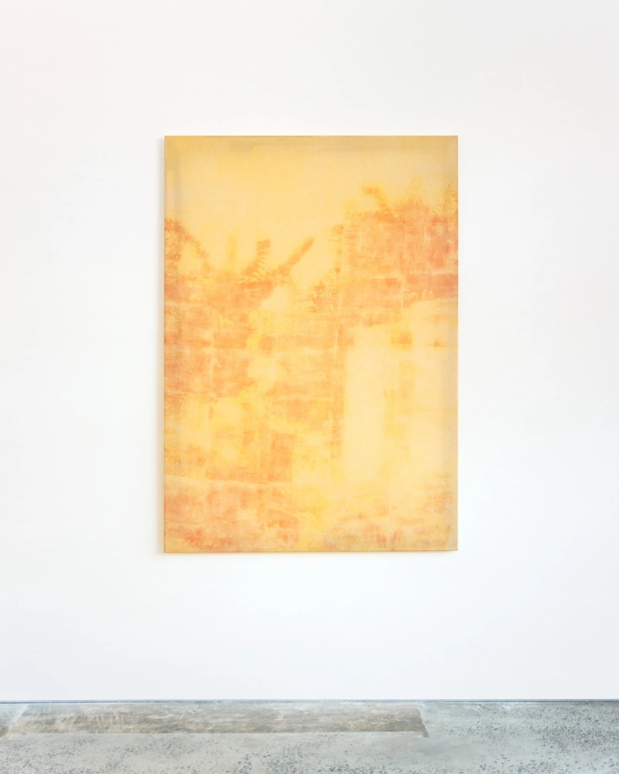  Thống Nhất   
2025.  
Inkjet print transfer via 'Meow' by Katy Perry and 'Gardenia' by Zara, dye on calico.  
114 x 162 cm.