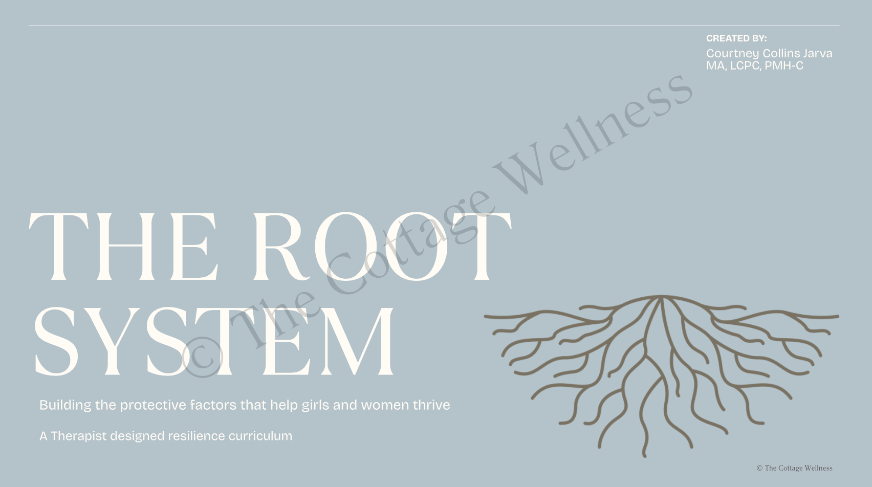 The Root System: Building the protective factors that help girls and women thrive