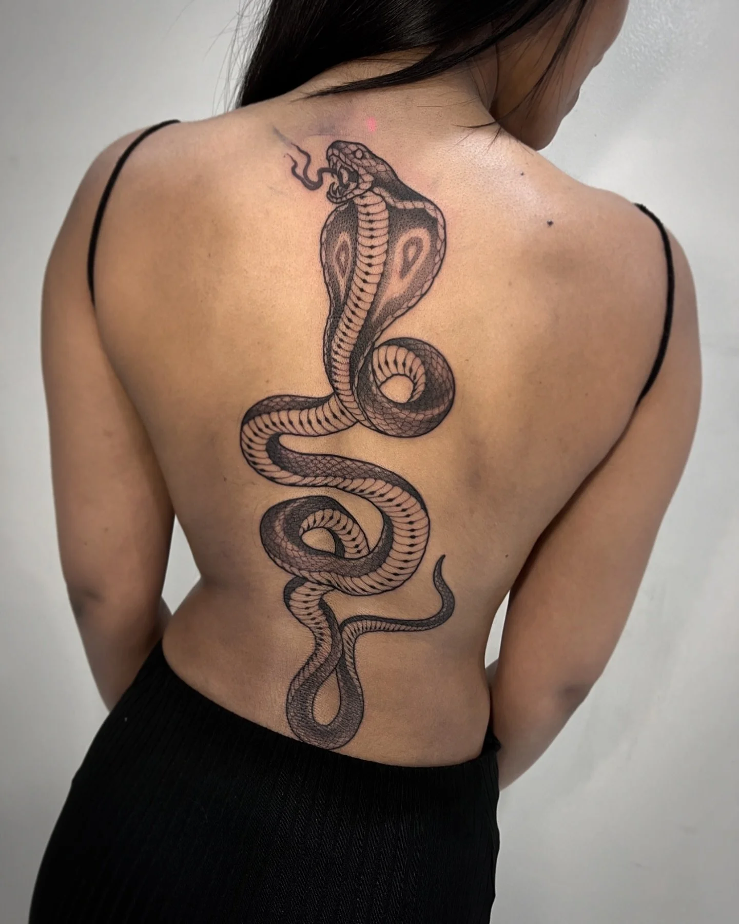 One sit hit danger spaghetti 🐍

@vaiderzneedles 💖 @brisbanebodyart 
#blackworkers#blackworktattoos#brisbaneblackworktattoo#blackworktattooartist#btattooing#snaketattoos#spinetattoo