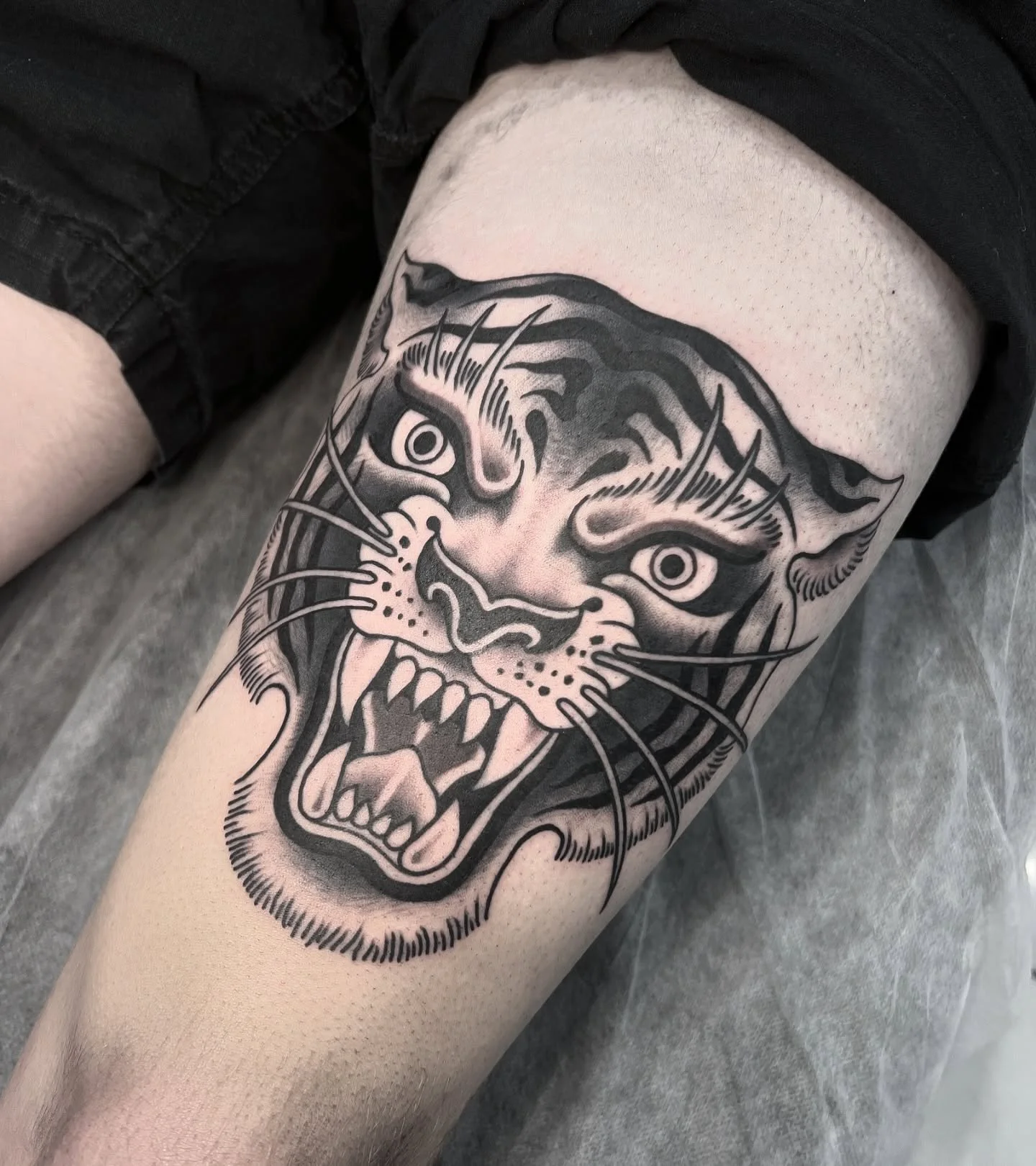 There&rsquo;s no tattooer on earth imo who doesn&rsquo;t love doing a trad tiger head 🤩

#boldtattoos#tigerhead#tattoos#brisbanetattoos#tattooartists#traditionaltattoos#traditionaltiger#blackworktattoo