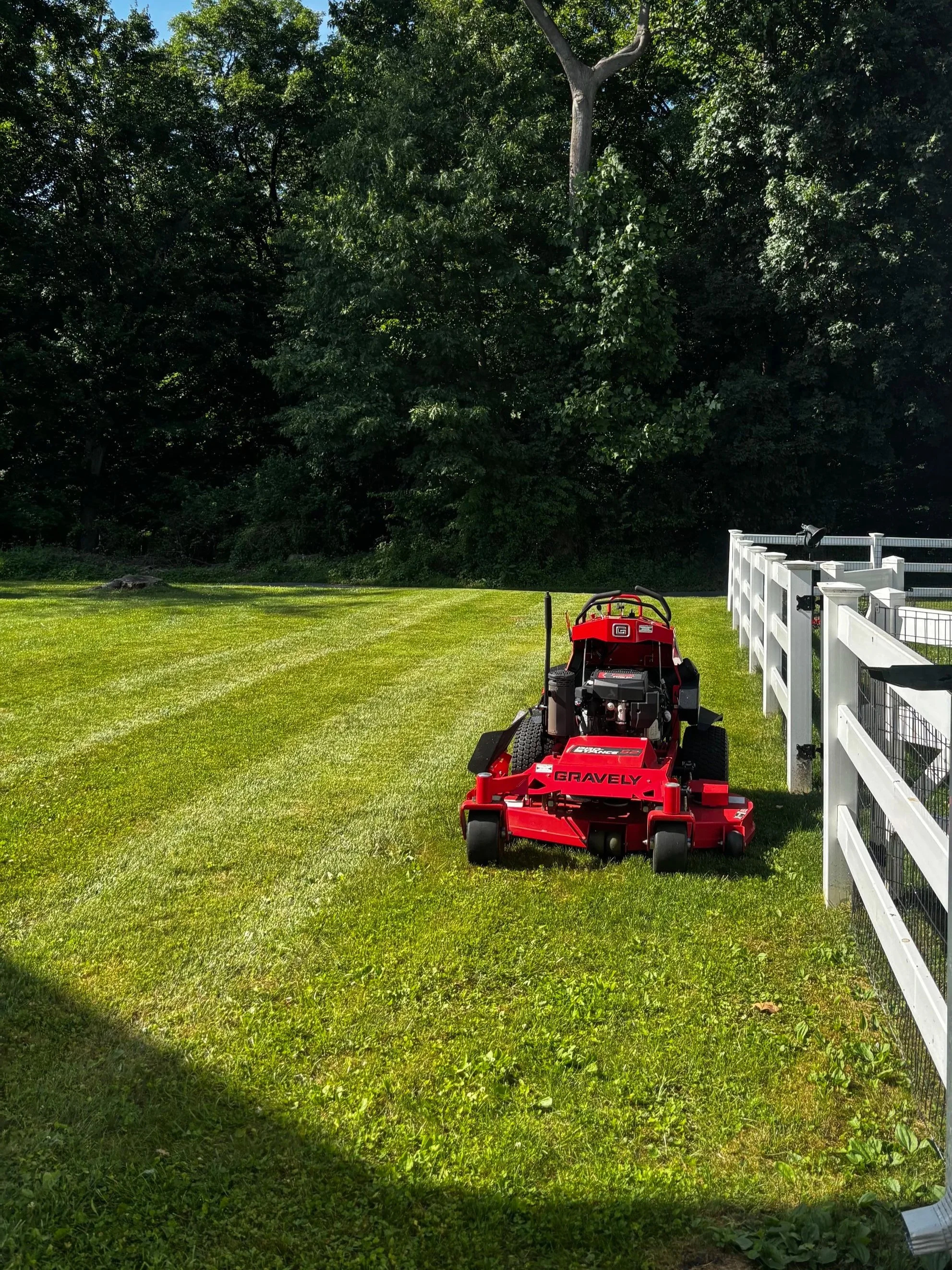 Lawn Mowing