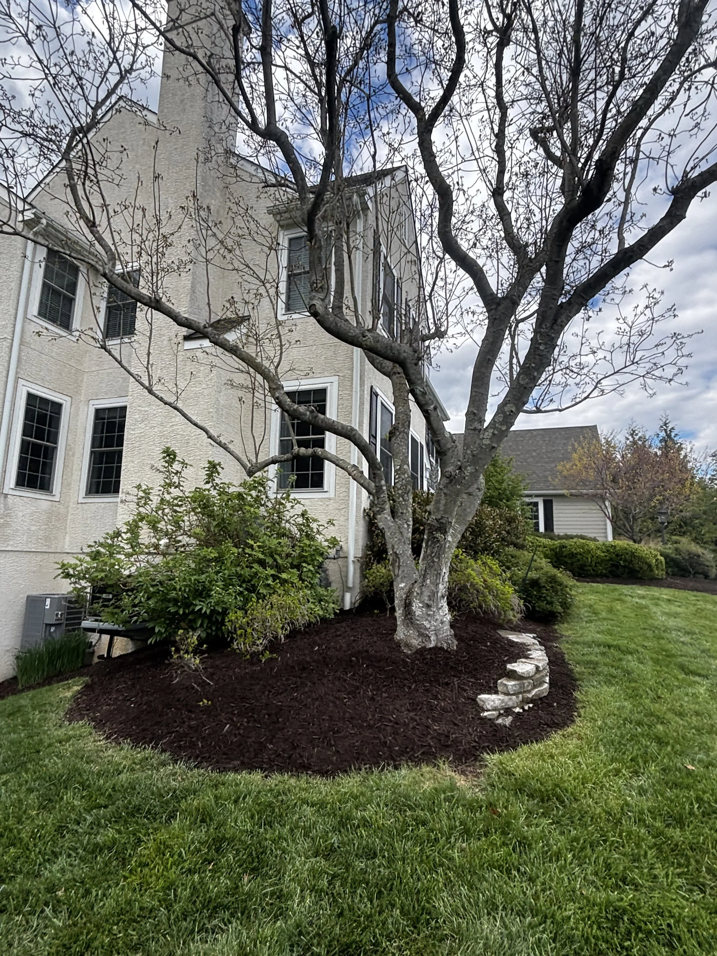 mulching 17.jpeg