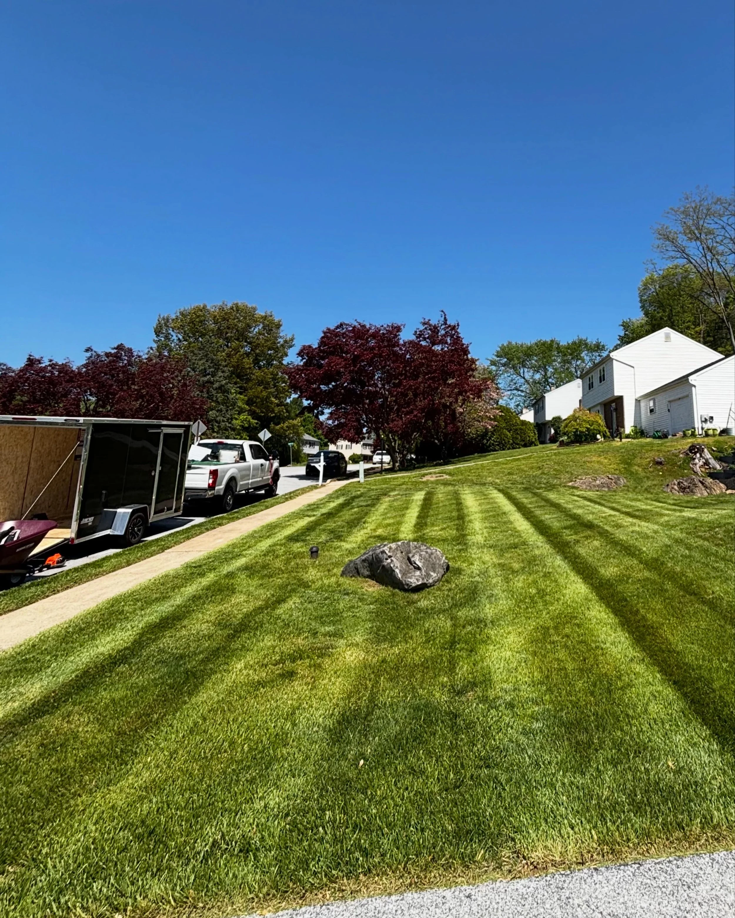 mowing 5.JPG