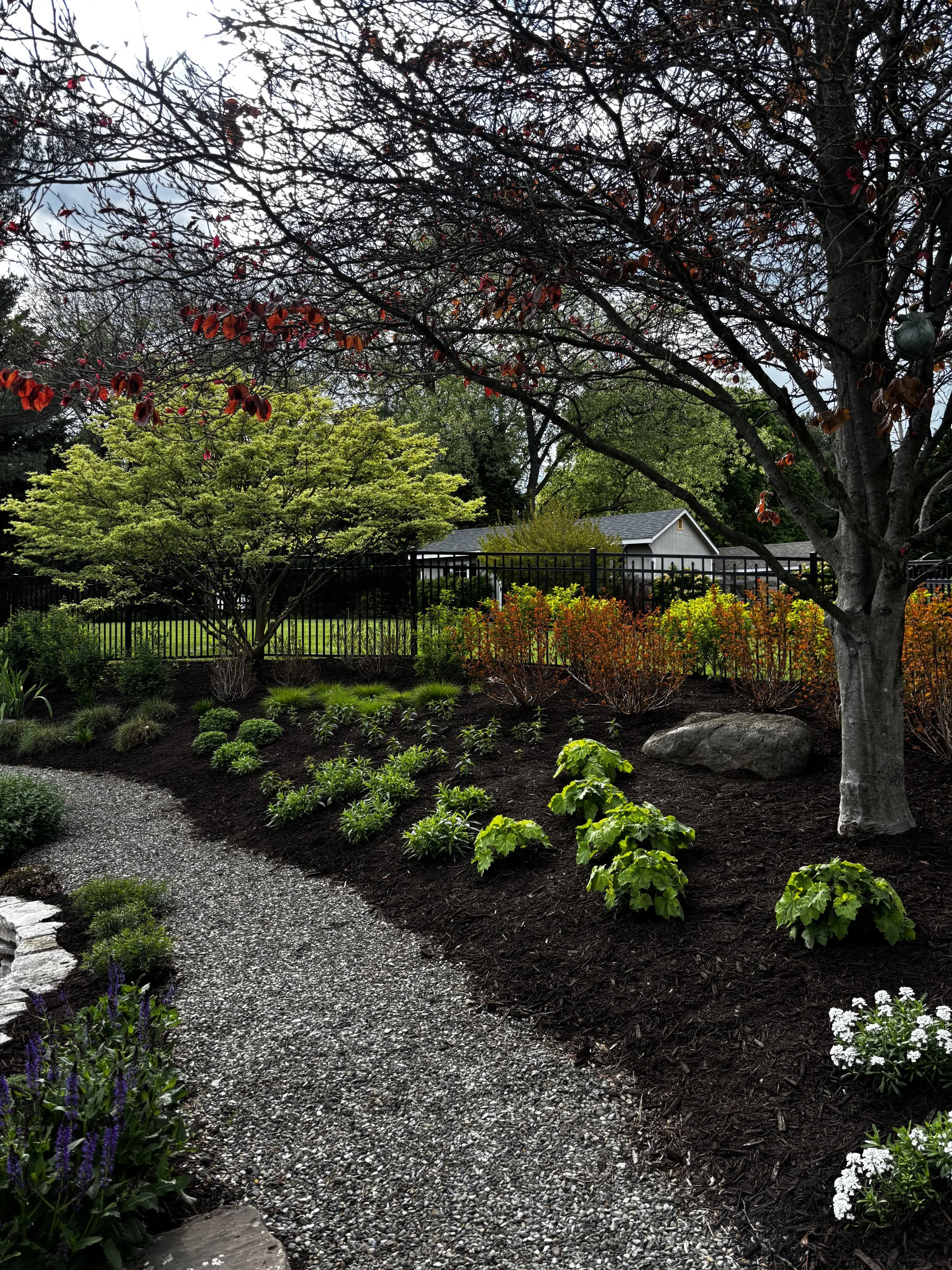 mulching 12.jpeg