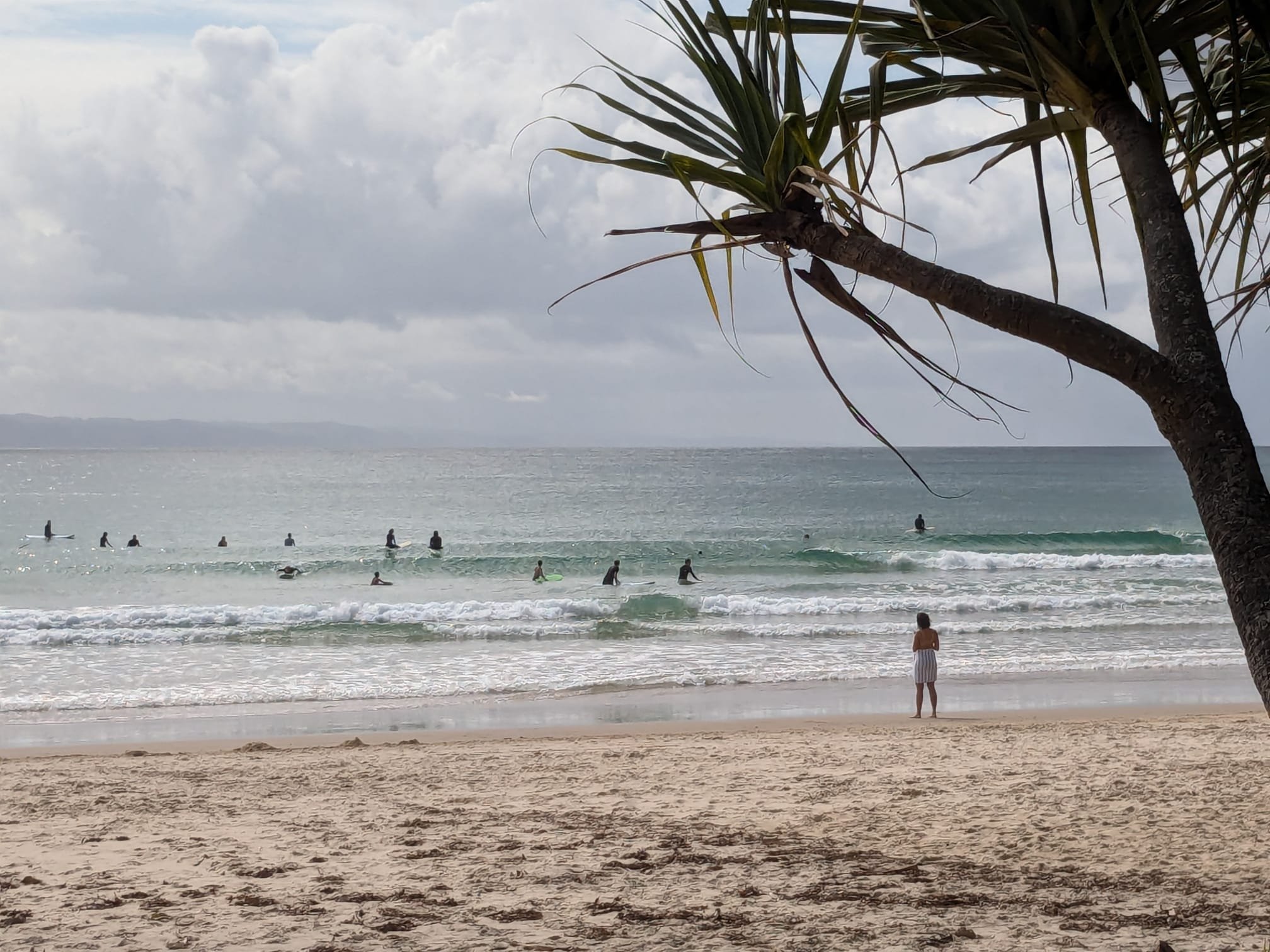 Honu Honi Fam Noosa Surf Trip