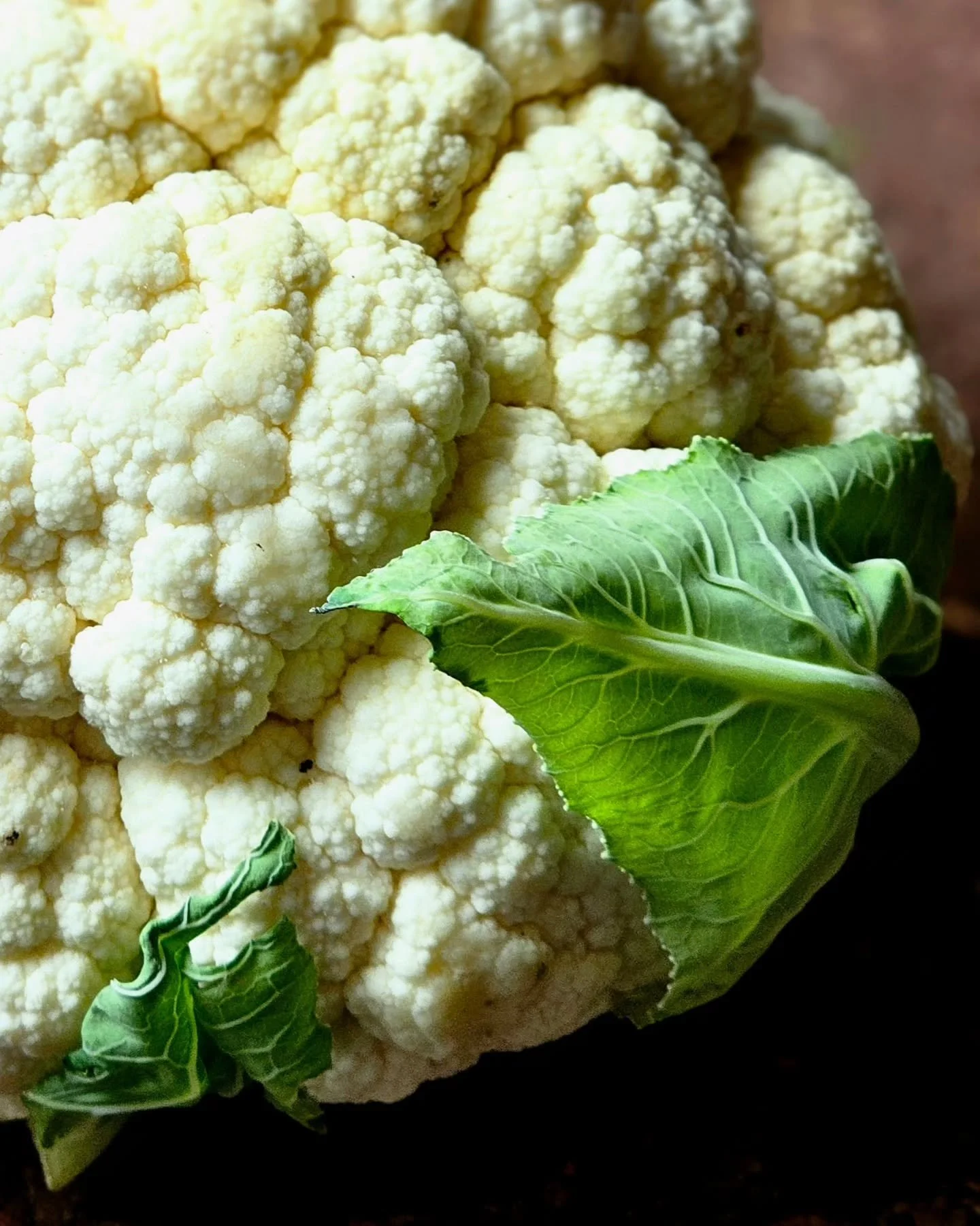 This weekend, I was lucky enough to up my mobile photograph game with some of the best in the business. 

Thank you to the incredibly talented @patricianiven and @kirstenljenkins for pulling this event together and for sharing your knowledge and expe