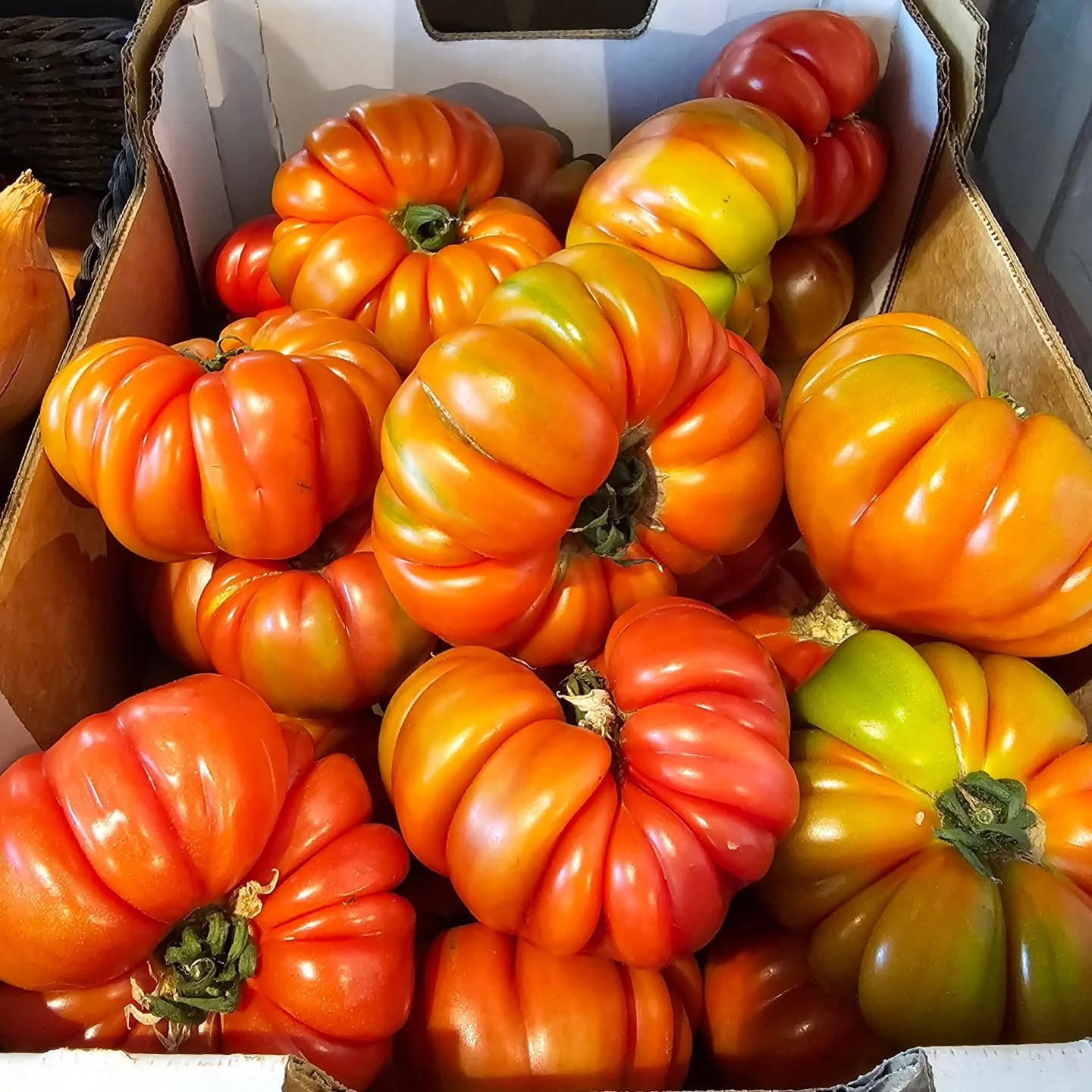 I love the way they talked about tomatoes 50 years ago. 

Thank you to the author Mike Michaelson for ensuring from now on, I will always imagine tomatoes as sexy sequined dancers. 

And to Jen and the team at @commonfolksouthyarra for bringing this 