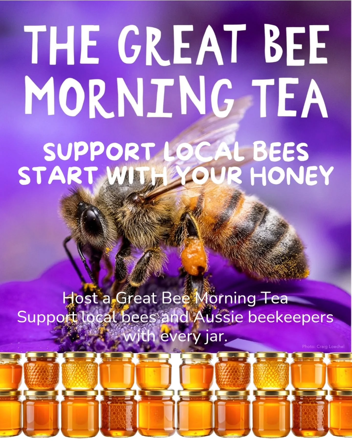 The Honey You Choose Matters

Host a Great Bee Morning Tea this May with 100% Australian honey and support local bees, beekeepers and the future of our food system.

One of the simplest ways to help is by choosing Australian honey every time you shop